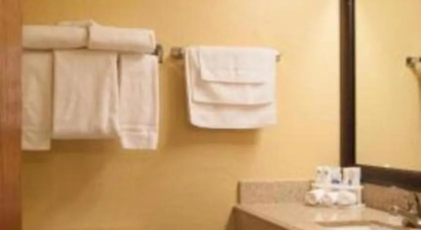 Best Western Locust Grove Inn & Suites