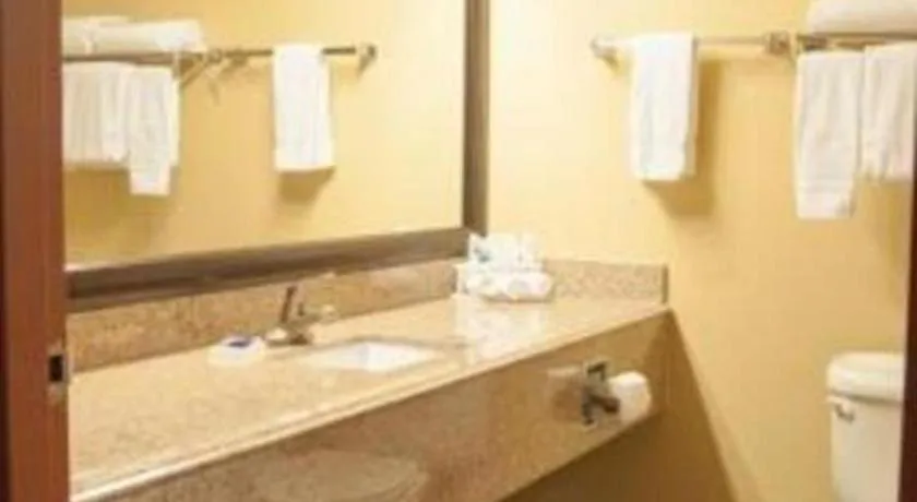 Best Western Locust Grove Inn & Suites