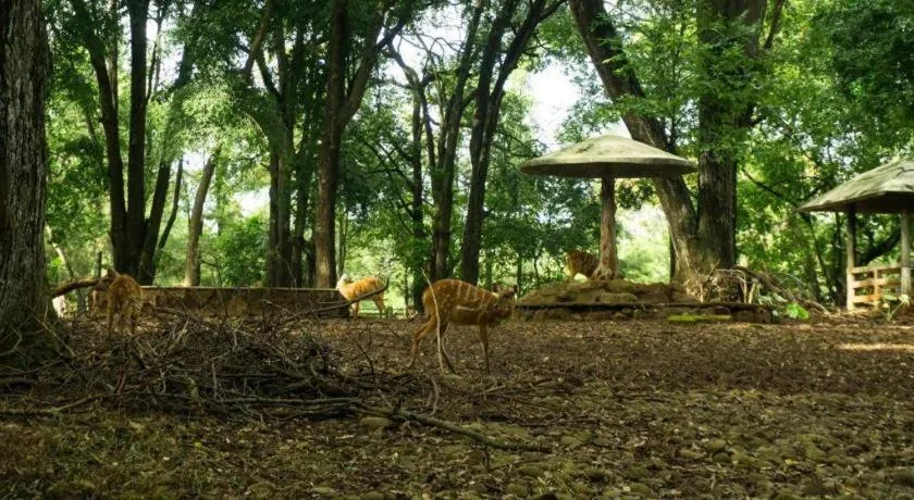 Arimbi Pejaten Suites