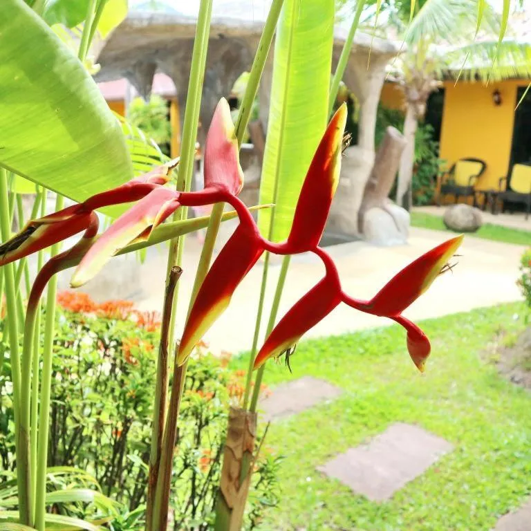 Kamala Tropical Garden Hotel