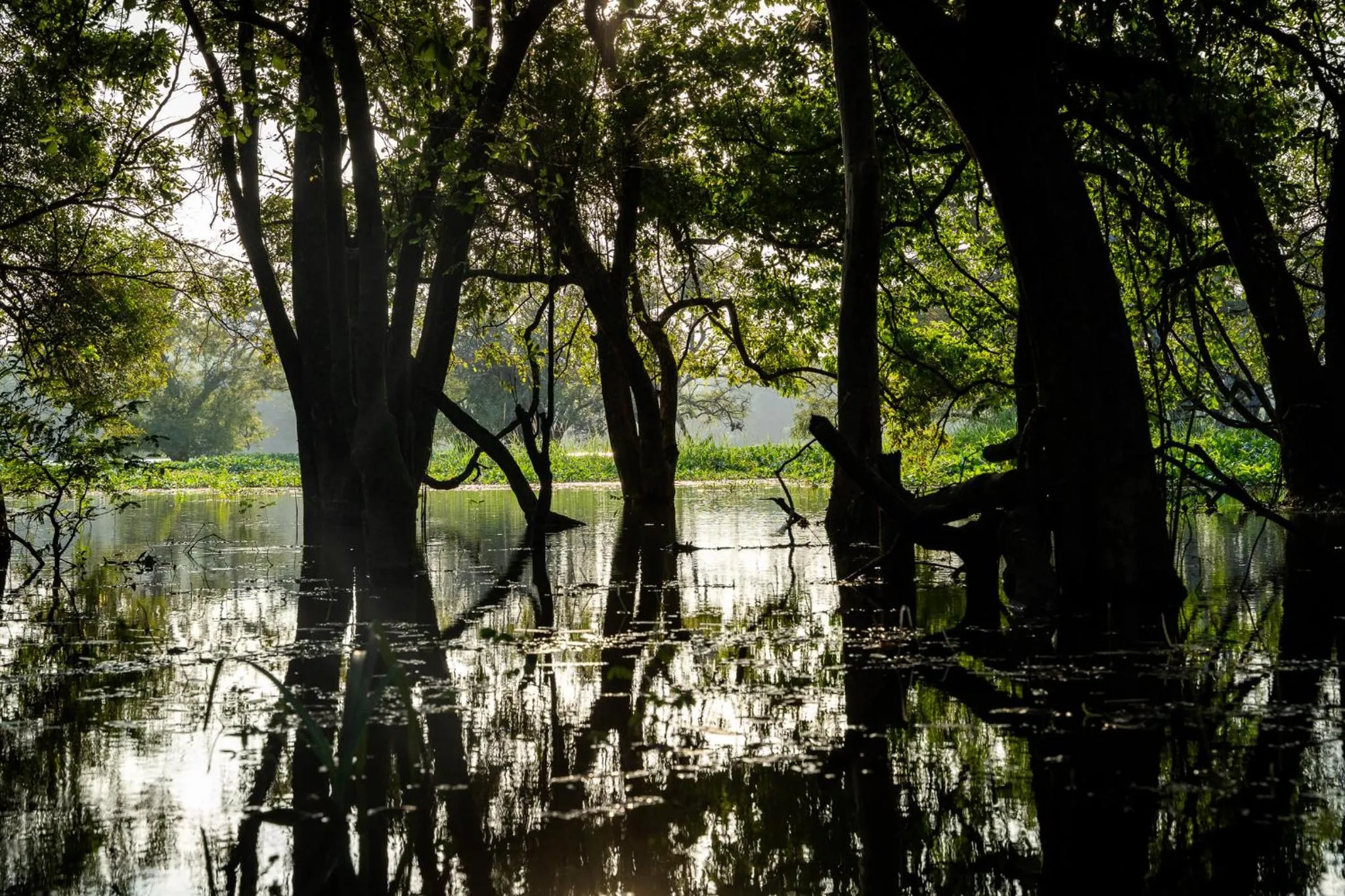 Lake view in Pothana Village