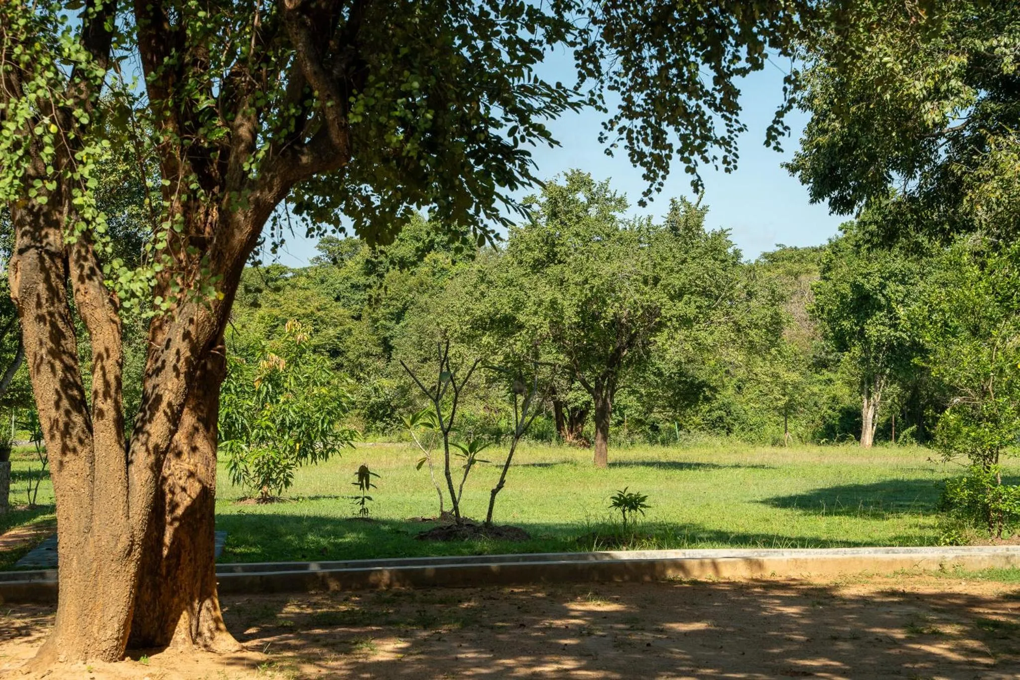 Garden in Pothana Village