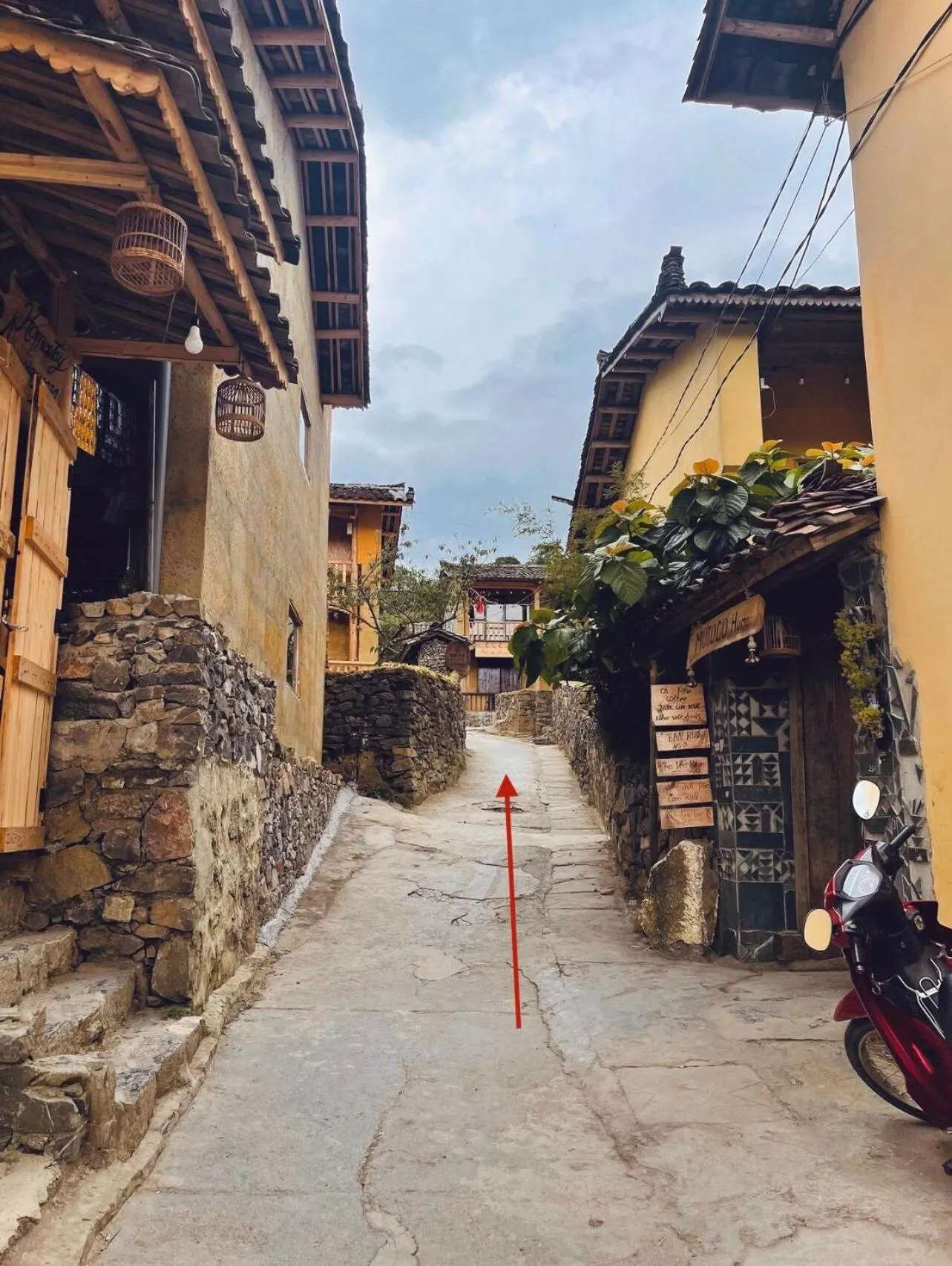 Street view in MOTOGO Home