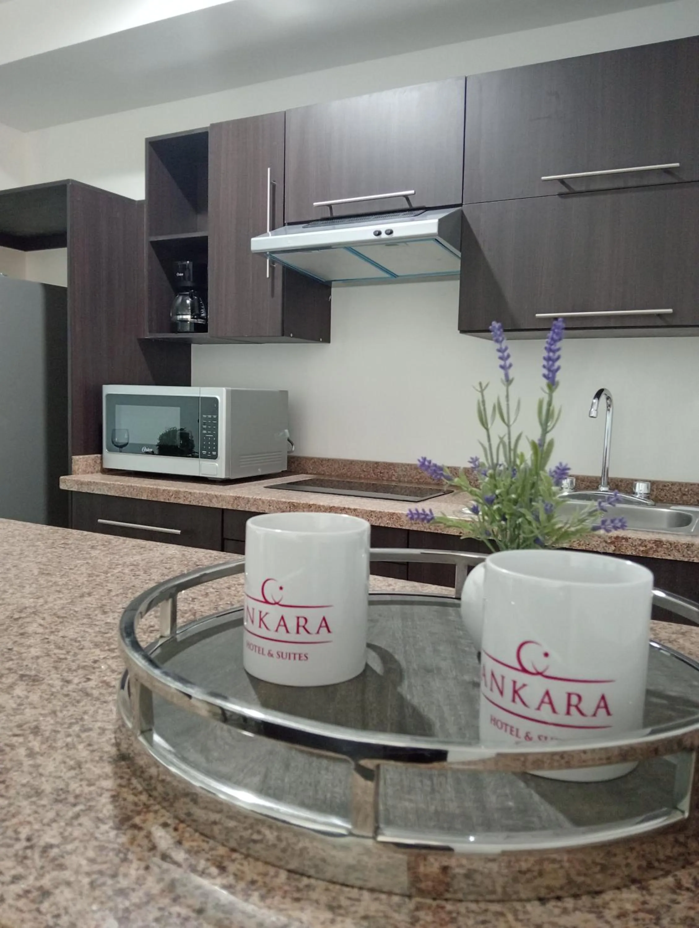 Ankara Pedregal Centro de Convenciones