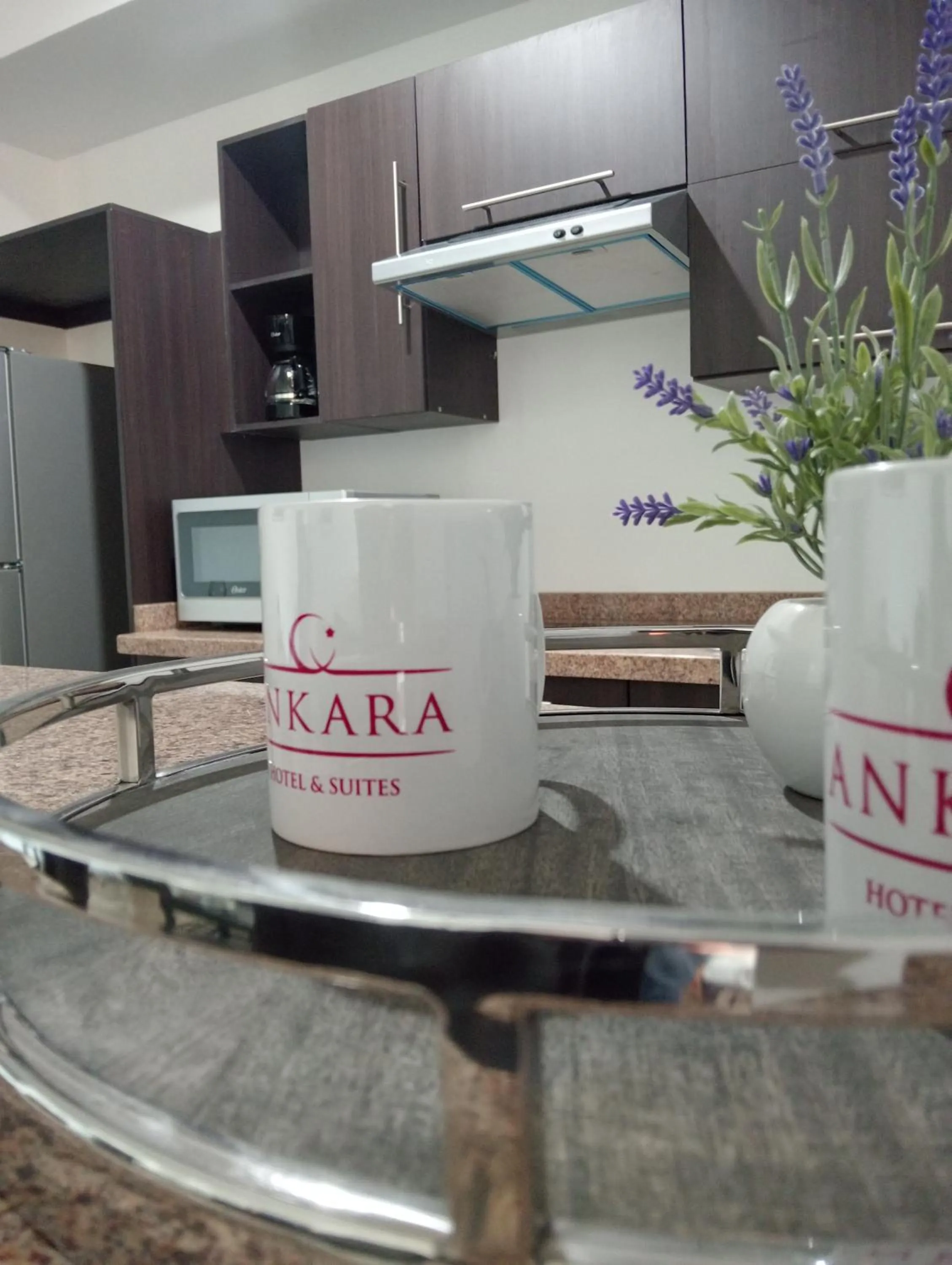 Ankara Pedregal Centro de Convenciones