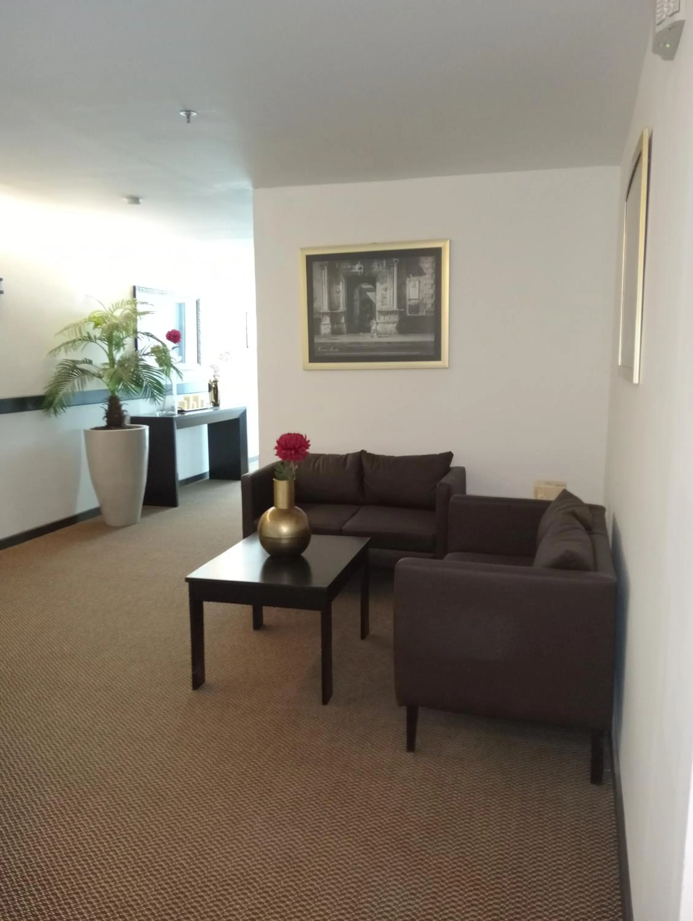 Ankara Pedregal Centro de Convenciones