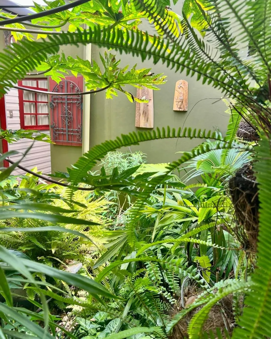 Natural landscape in Hotel Aranjuez