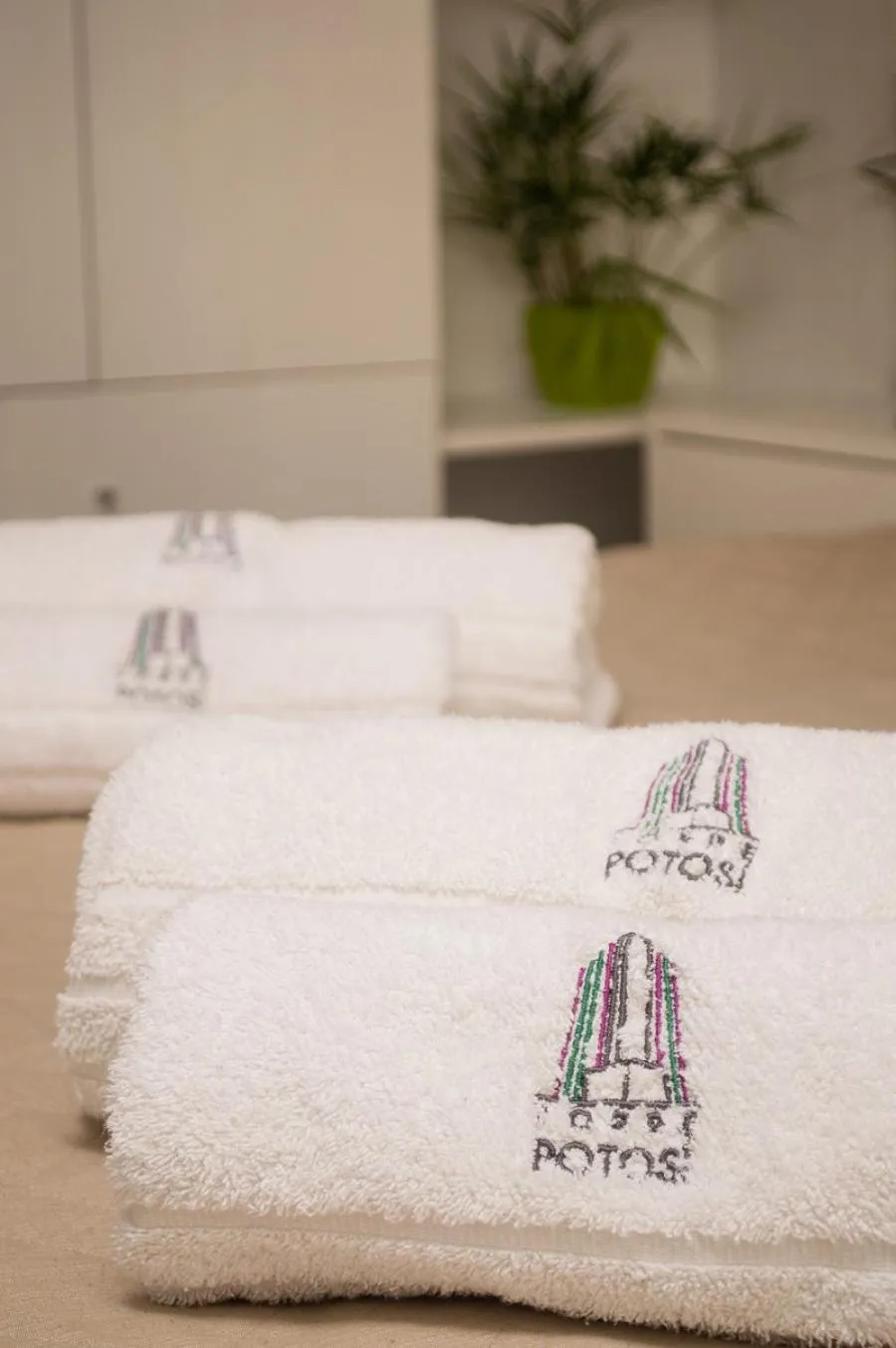 Torre Potosi Departamentos