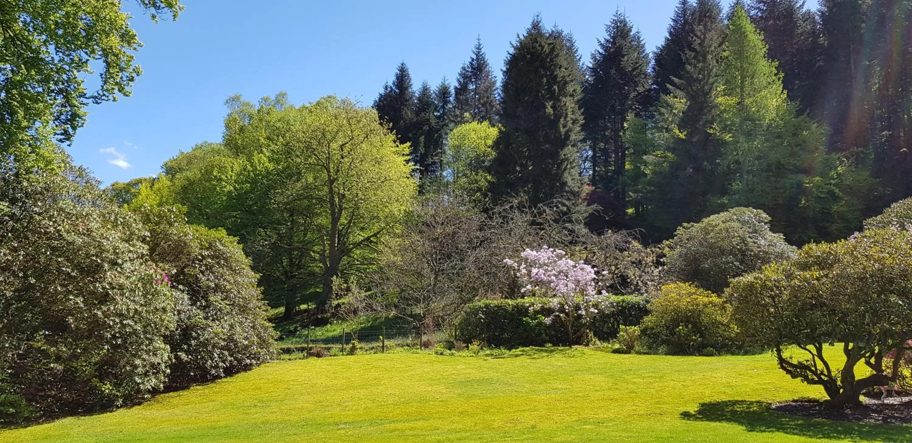 Garden in Foxghyll Country House
