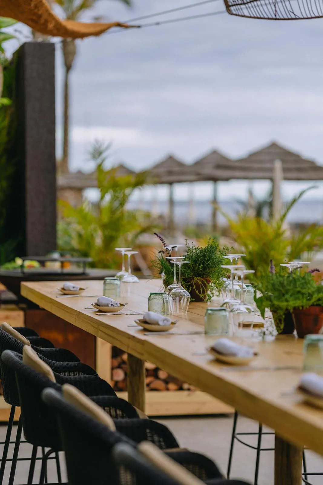 Restaurant/places to eat in Saccharum - Resort and Spa - Savoy Signature