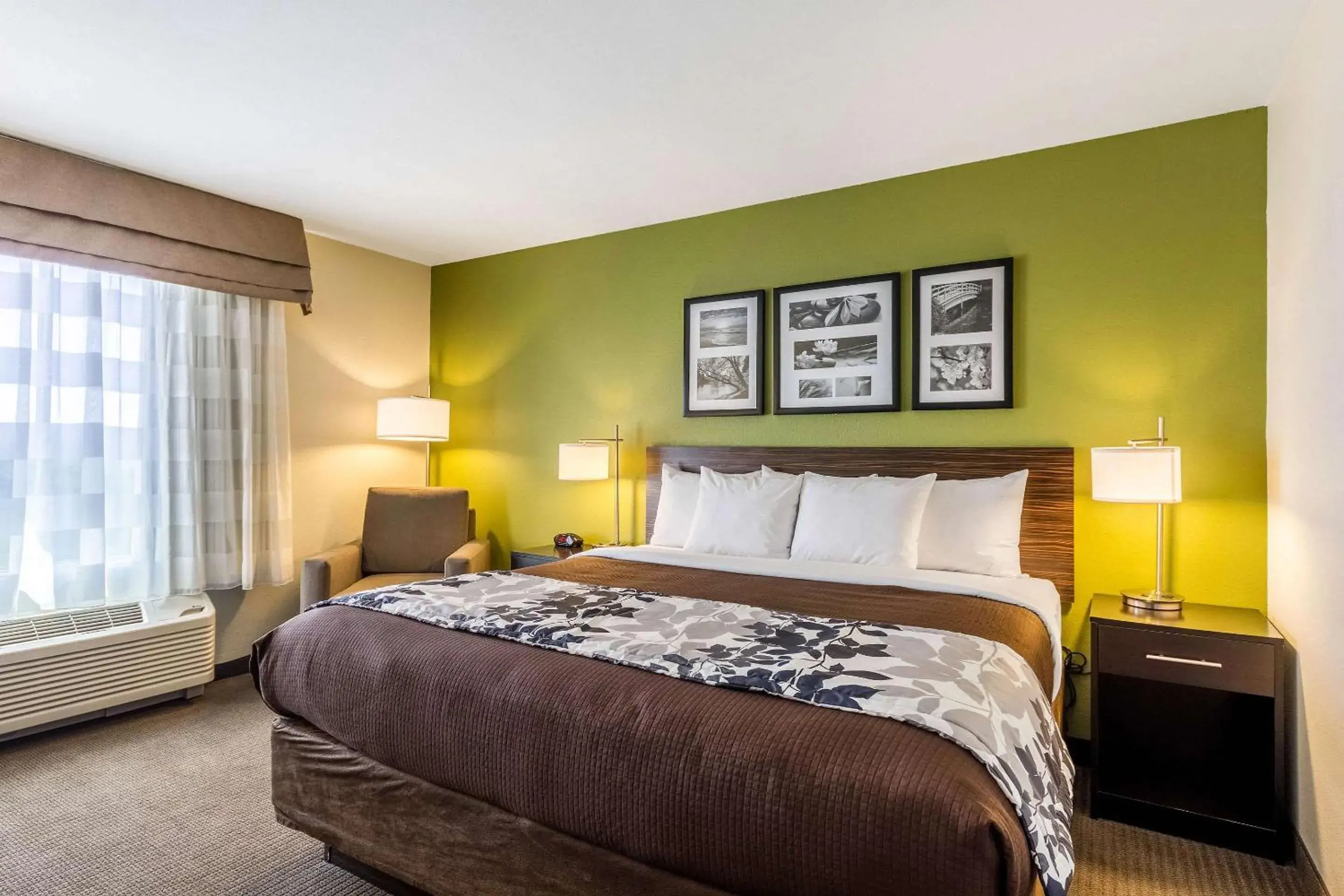 King Room - Non-Smoking in Sleep Inn & Suites King Room - Non-Smoking in Sleep Inn & Suites