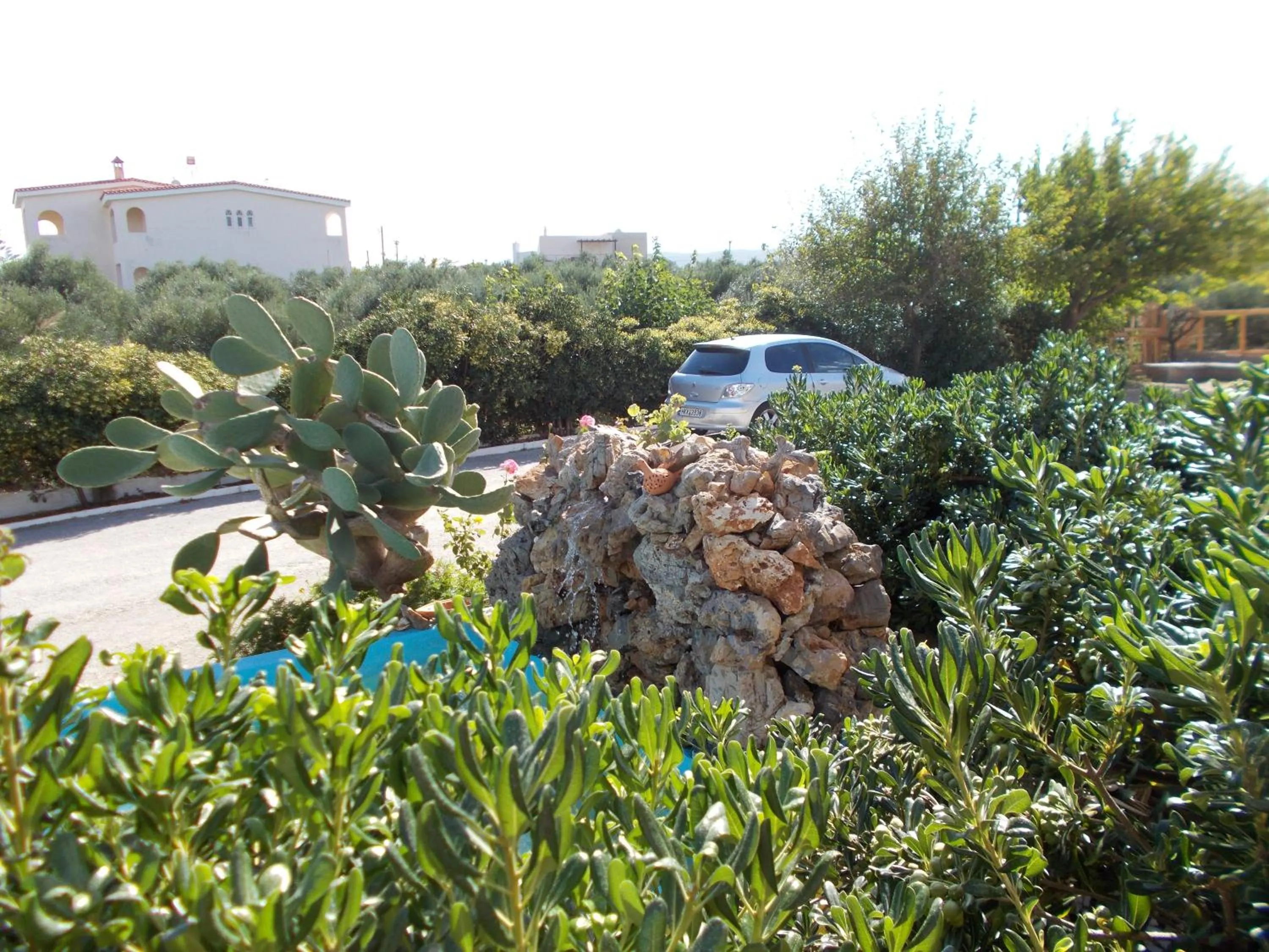 Garden in Nereides Hotel