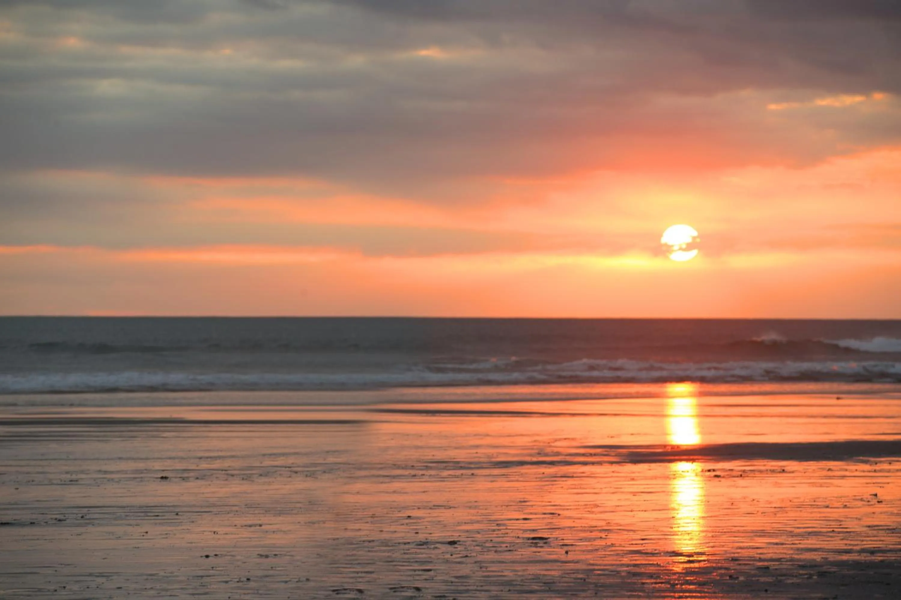 View (from property/room) in Nesa Sanur Bali