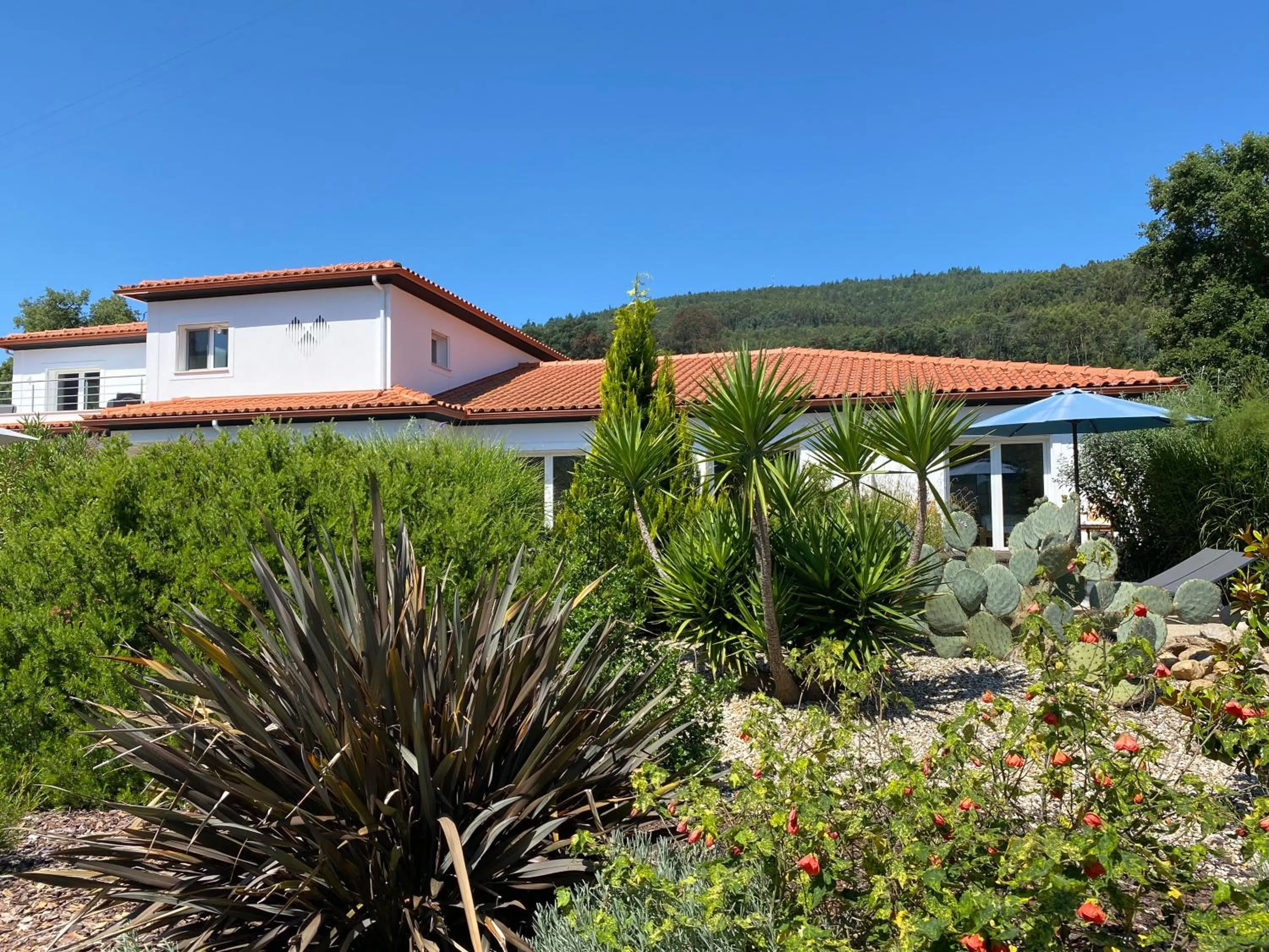 Garden in Casa Carvalhal - Adults Only