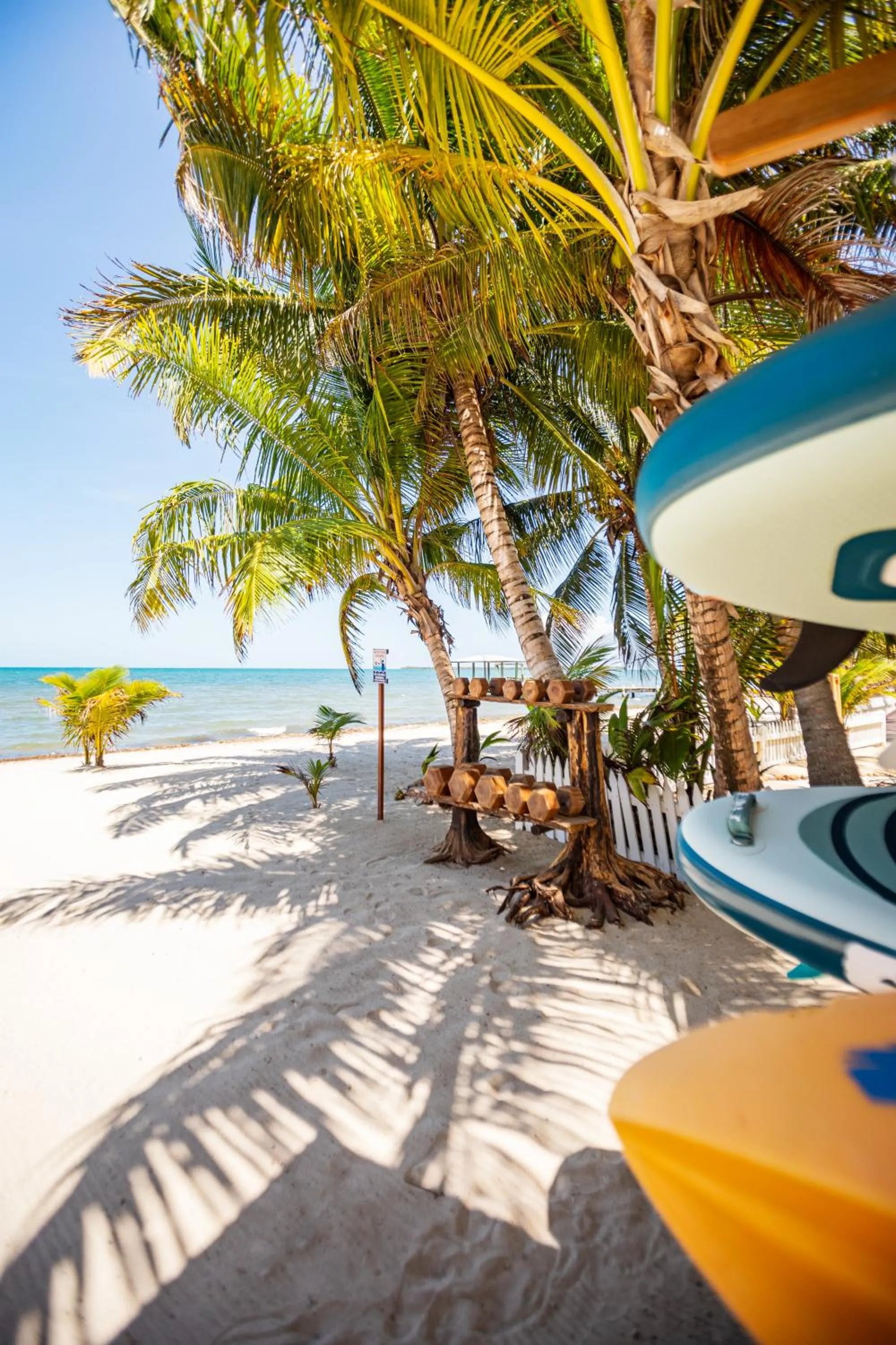 Beach in Kalimera Beach Hotel