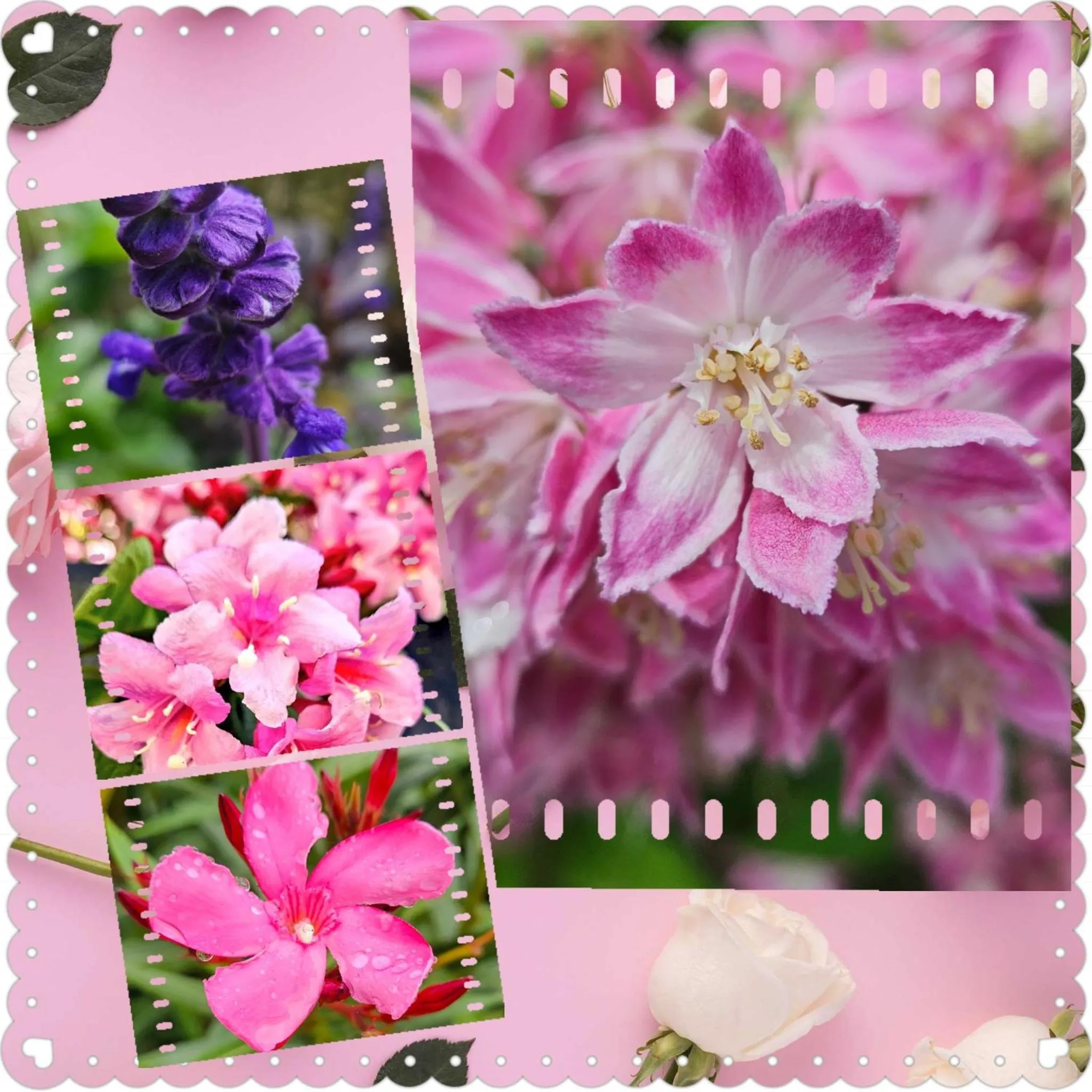 Garden view in Premiere Classe Saintes