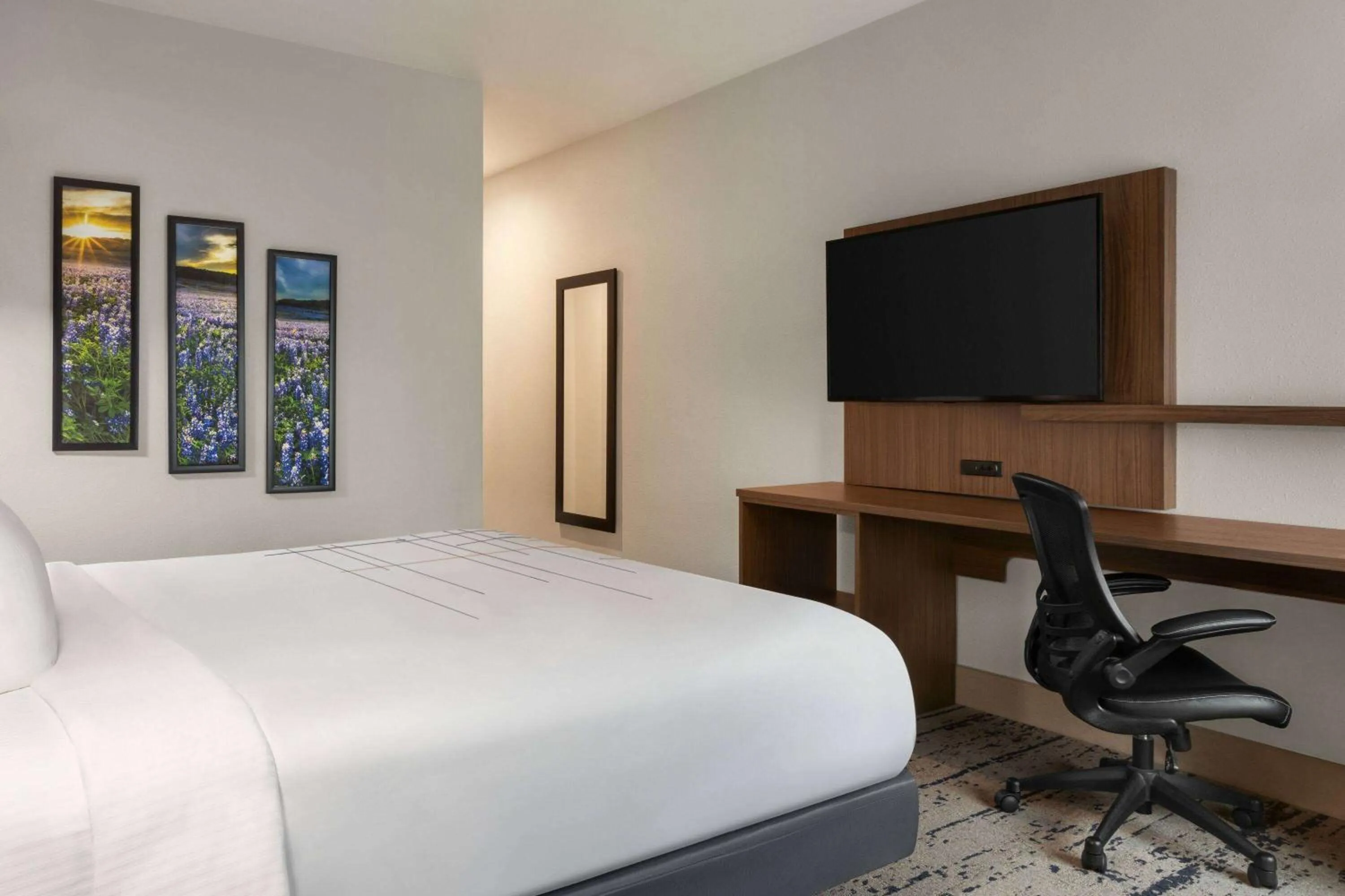 Photo of the whole room, Bed in La Quinta Inn & Suites by Wyndham Austin South