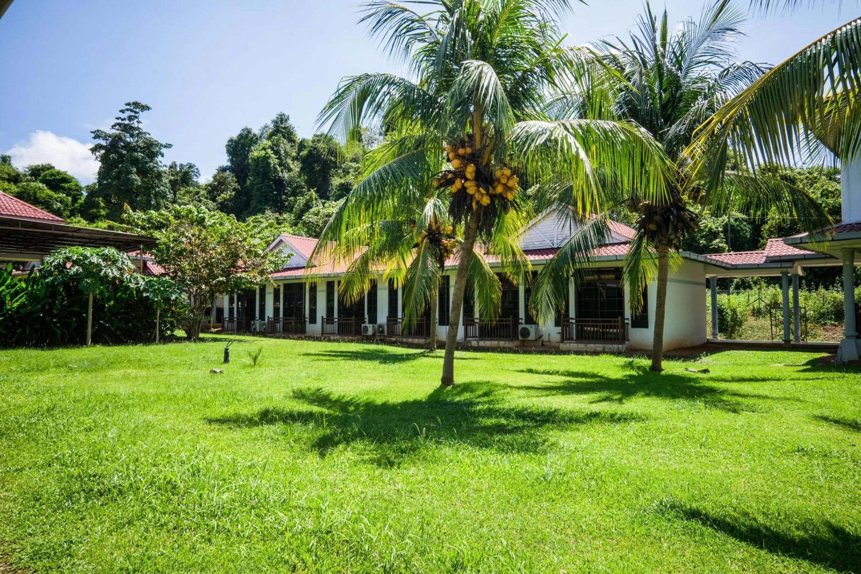 Garden in Hotel O Terap Inn Kuala Nerang