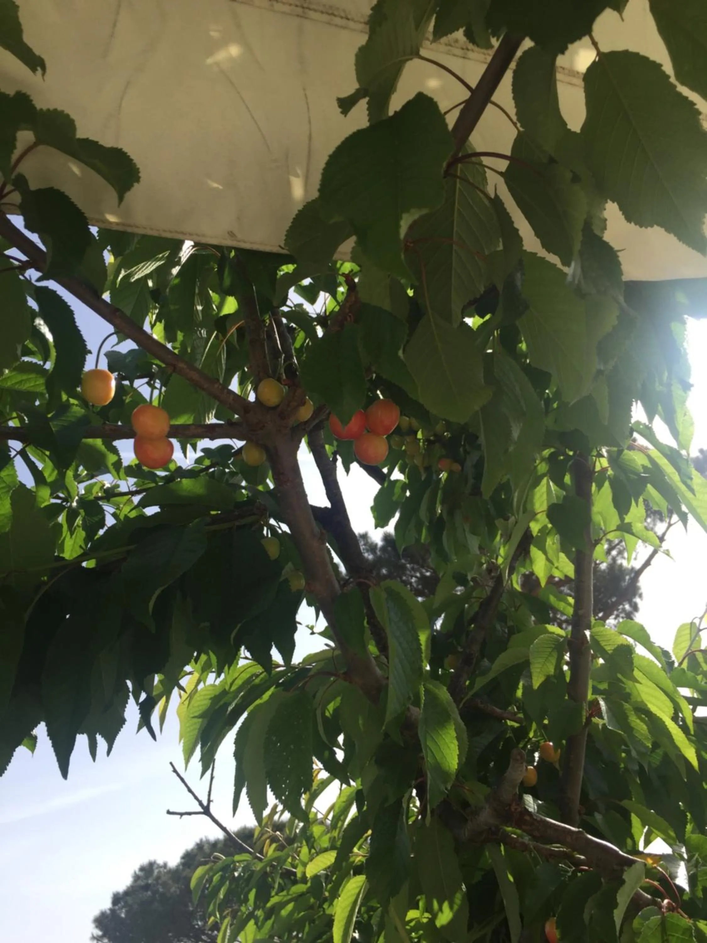 Other in Zia Bi Bed and Breakfast