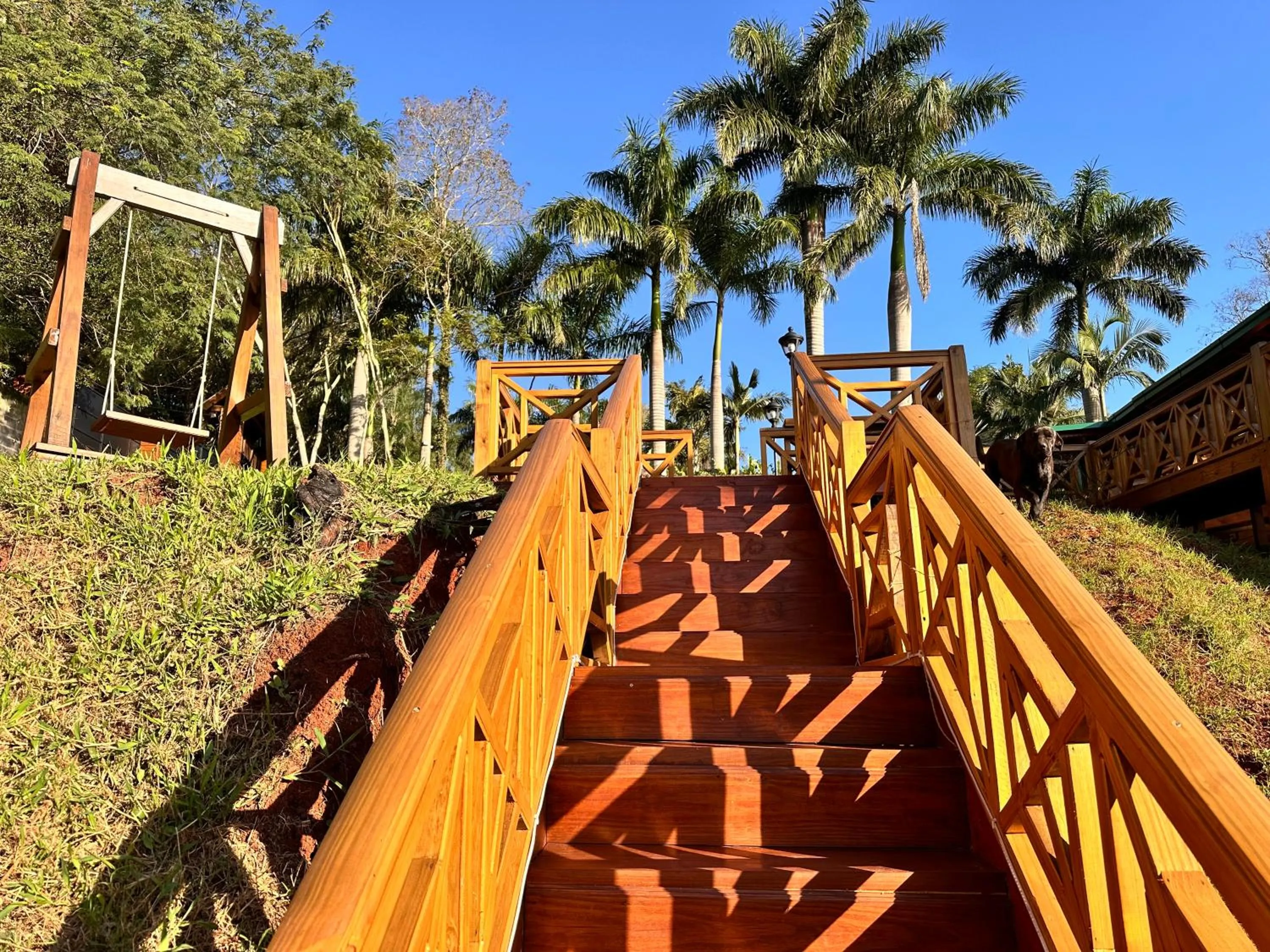 Day in Costa del Sol Iguazú Suites