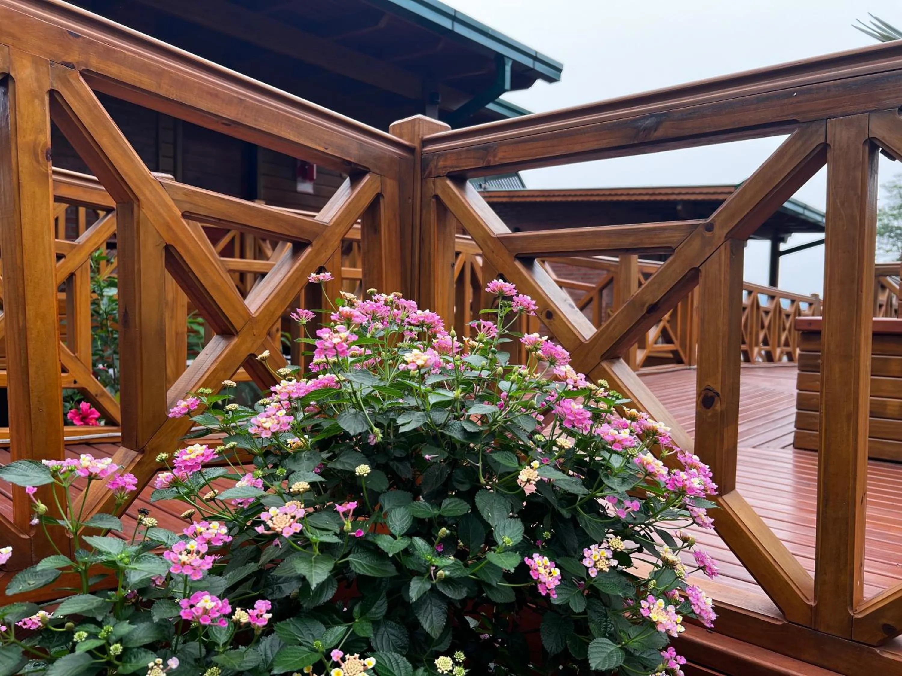 Spring in Costa del Sol Iguazú Suites