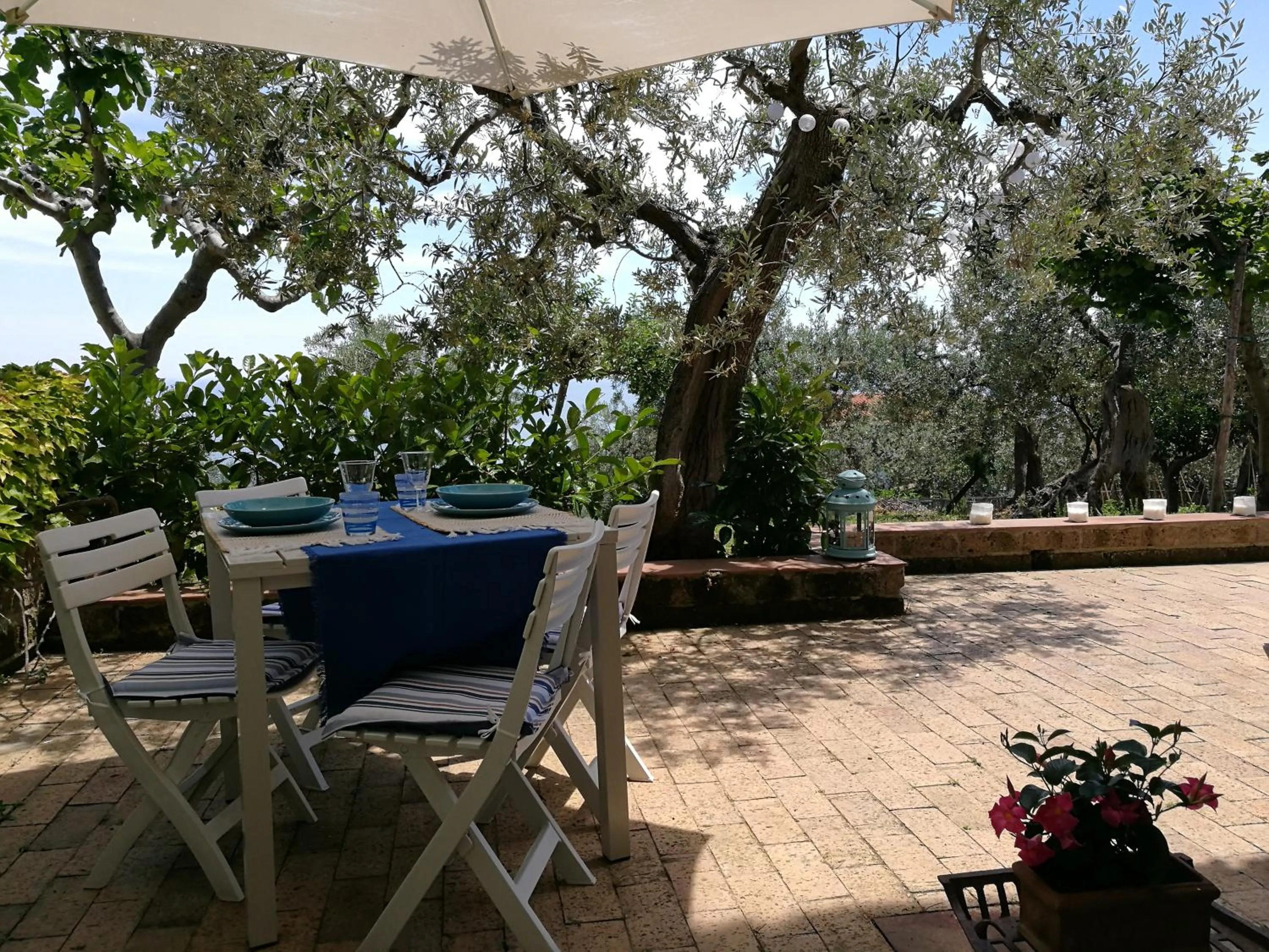 Patio in Villa Rosaria