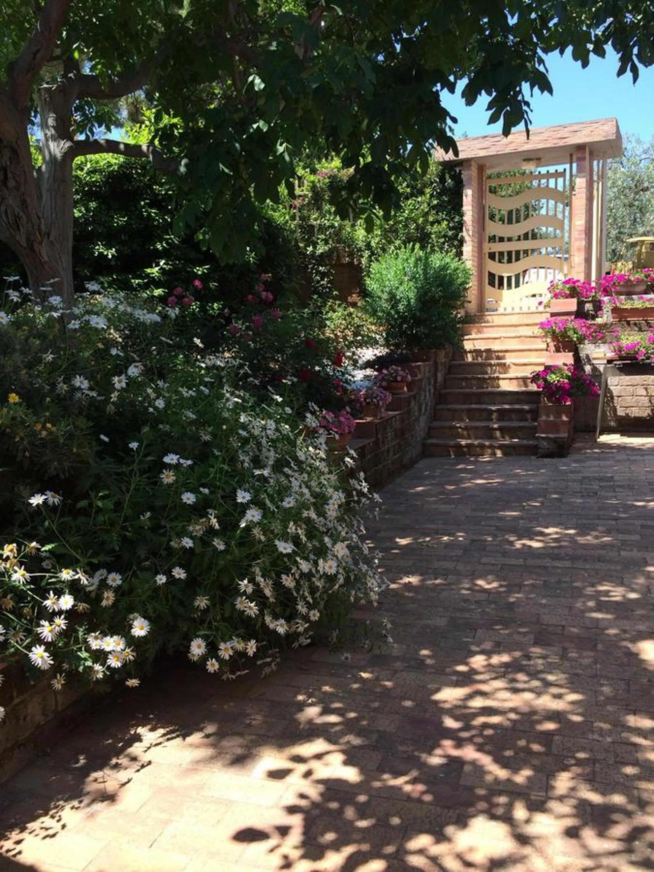 Day in Villa Rosaria