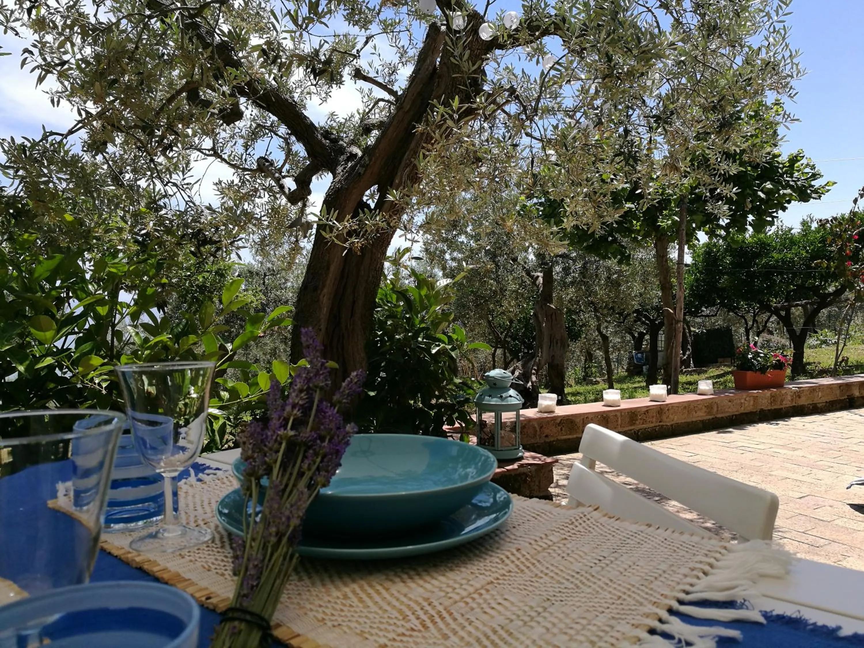 Garden view in Villa Rosaria