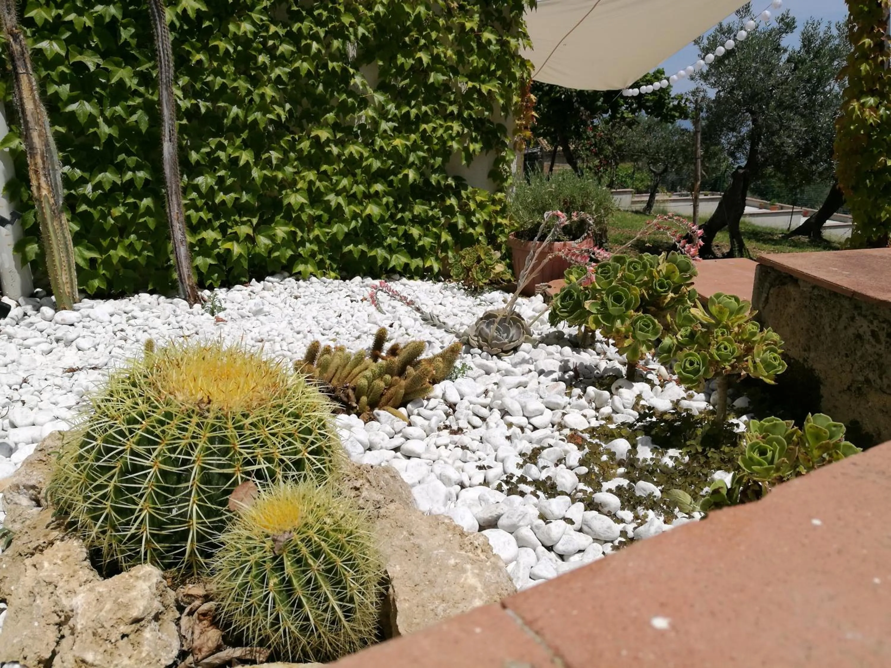Garden in Villa Rosaria