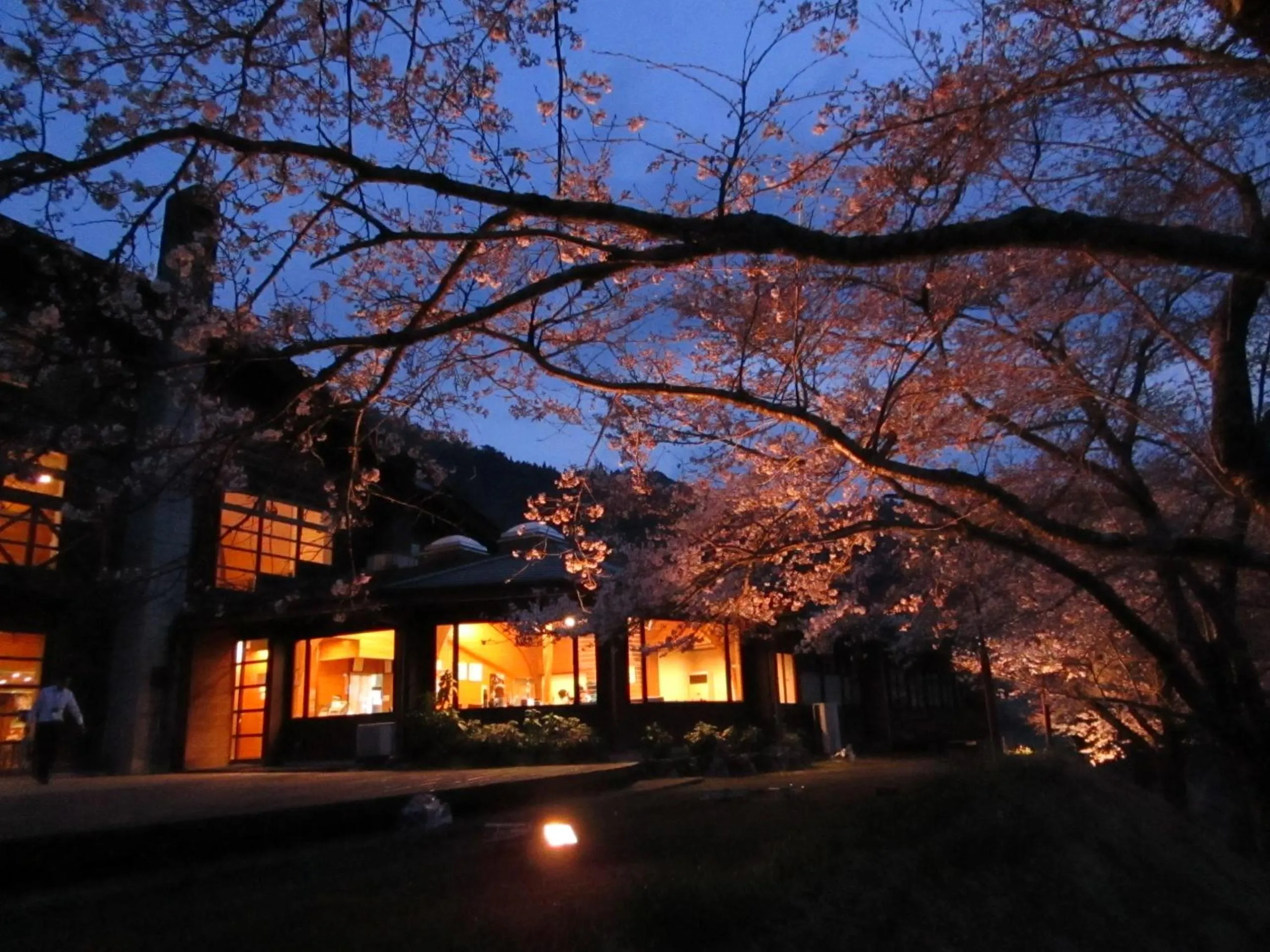 Spring in Miyama Nature and Culture Village Kajikaso