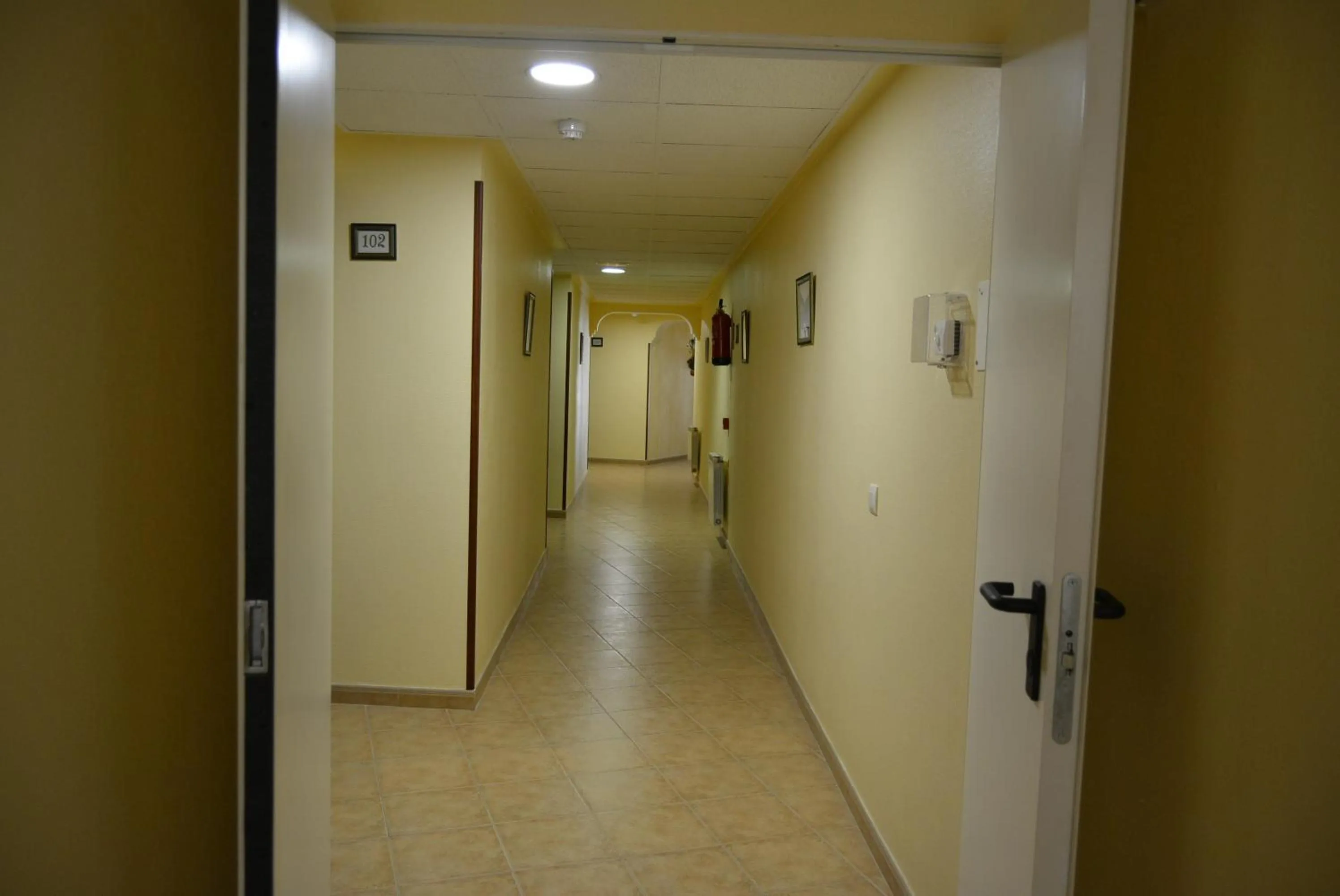 Area and facilities in Hotel Mayno