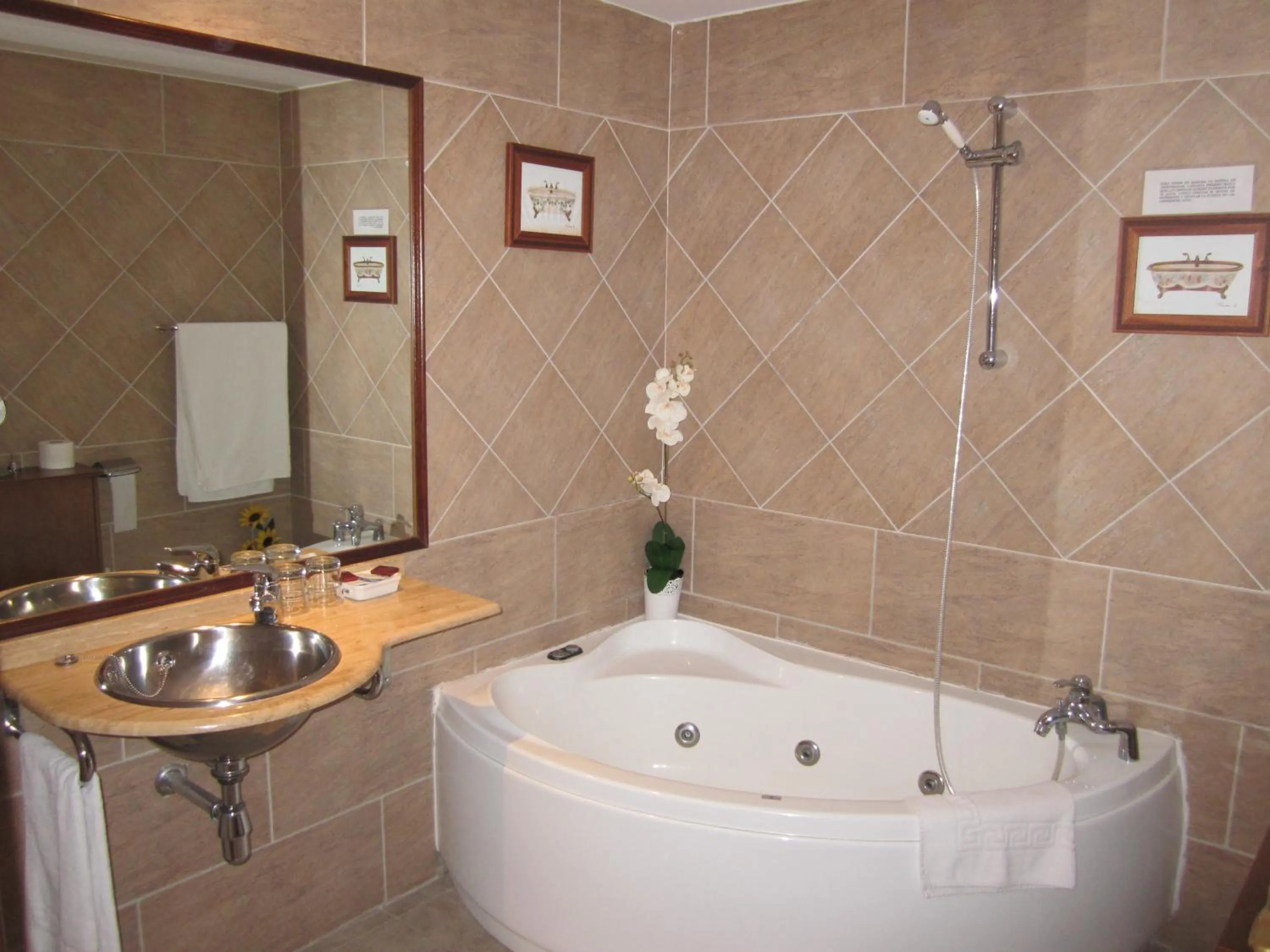 Bathroom in Hotel Mayno