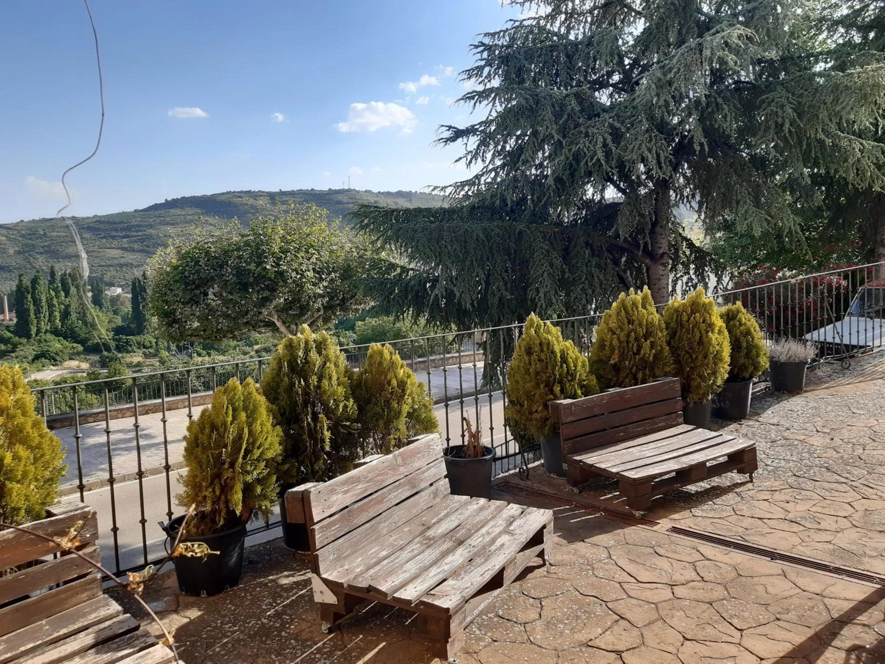Balcony/Terrace in Hotel Mayno