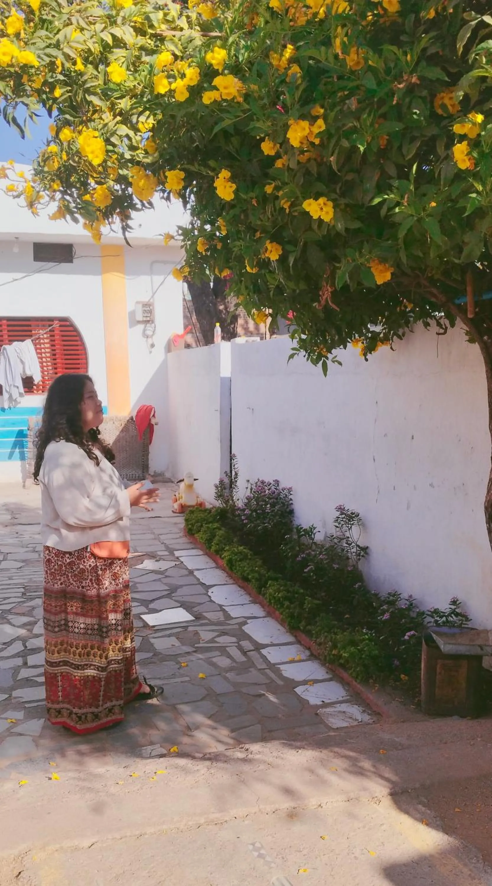 Mini Homestay