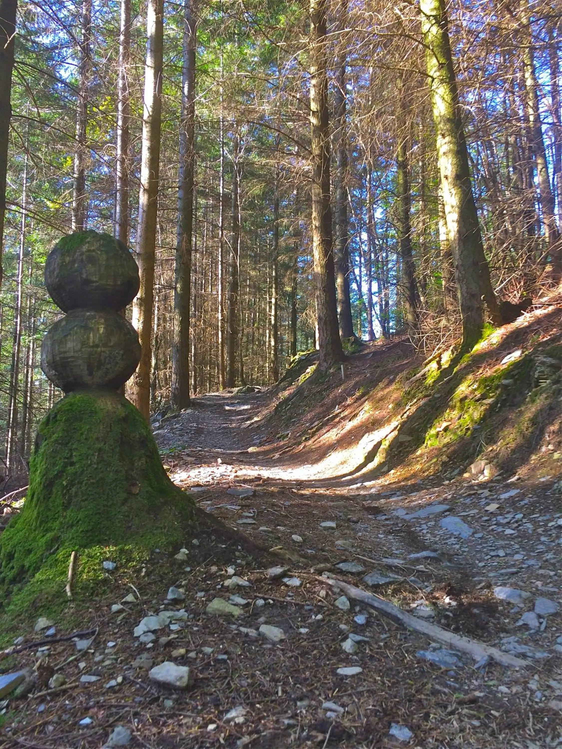 The Vagabond Bunkhouse