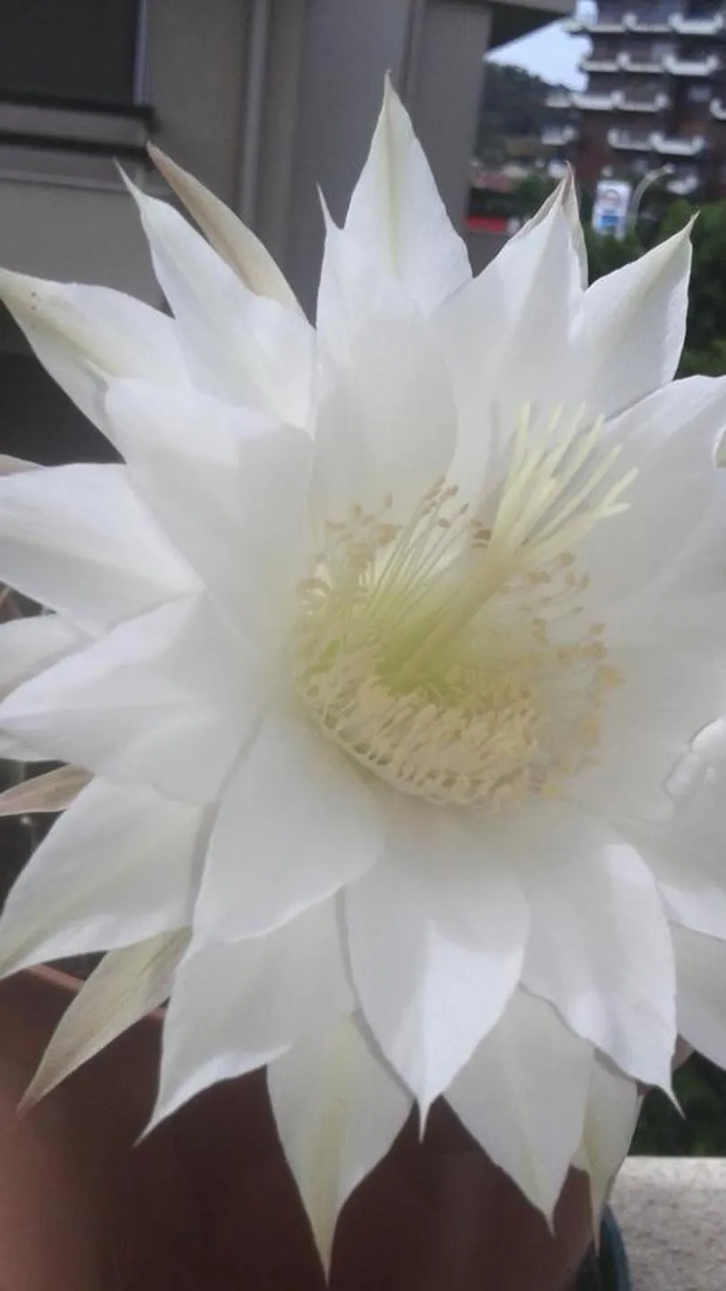 Lobby or reception in Da Agnese Locazioni brevi