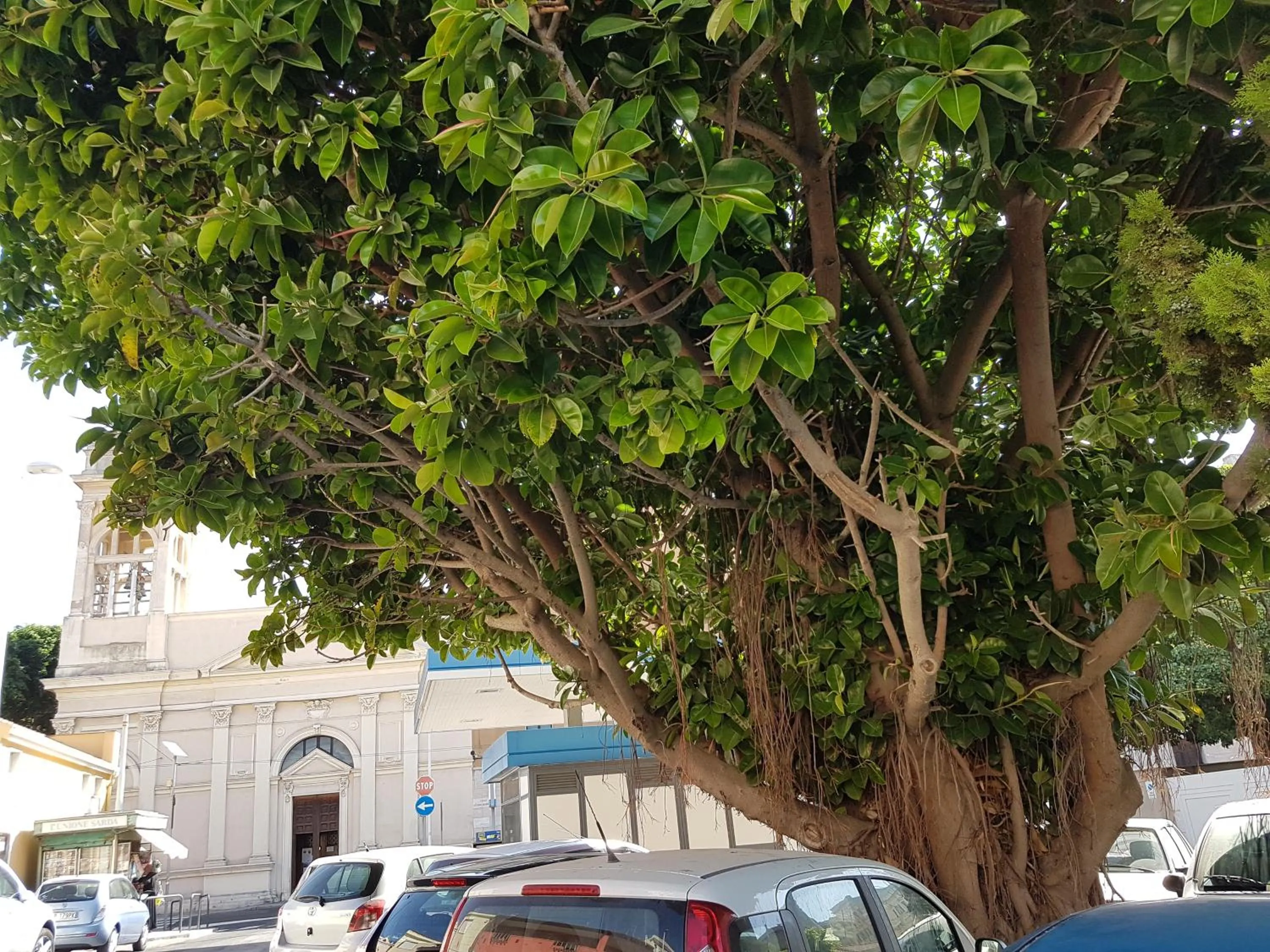 Neighbourhood in Da Agnese Locazioni brevi