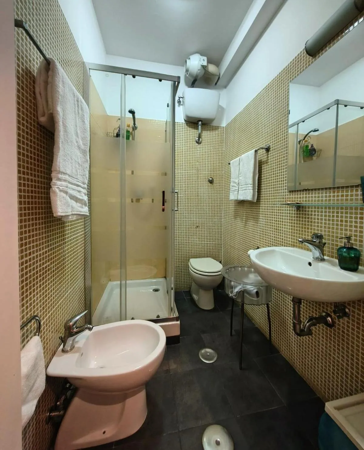 Gregory B&B Vatican