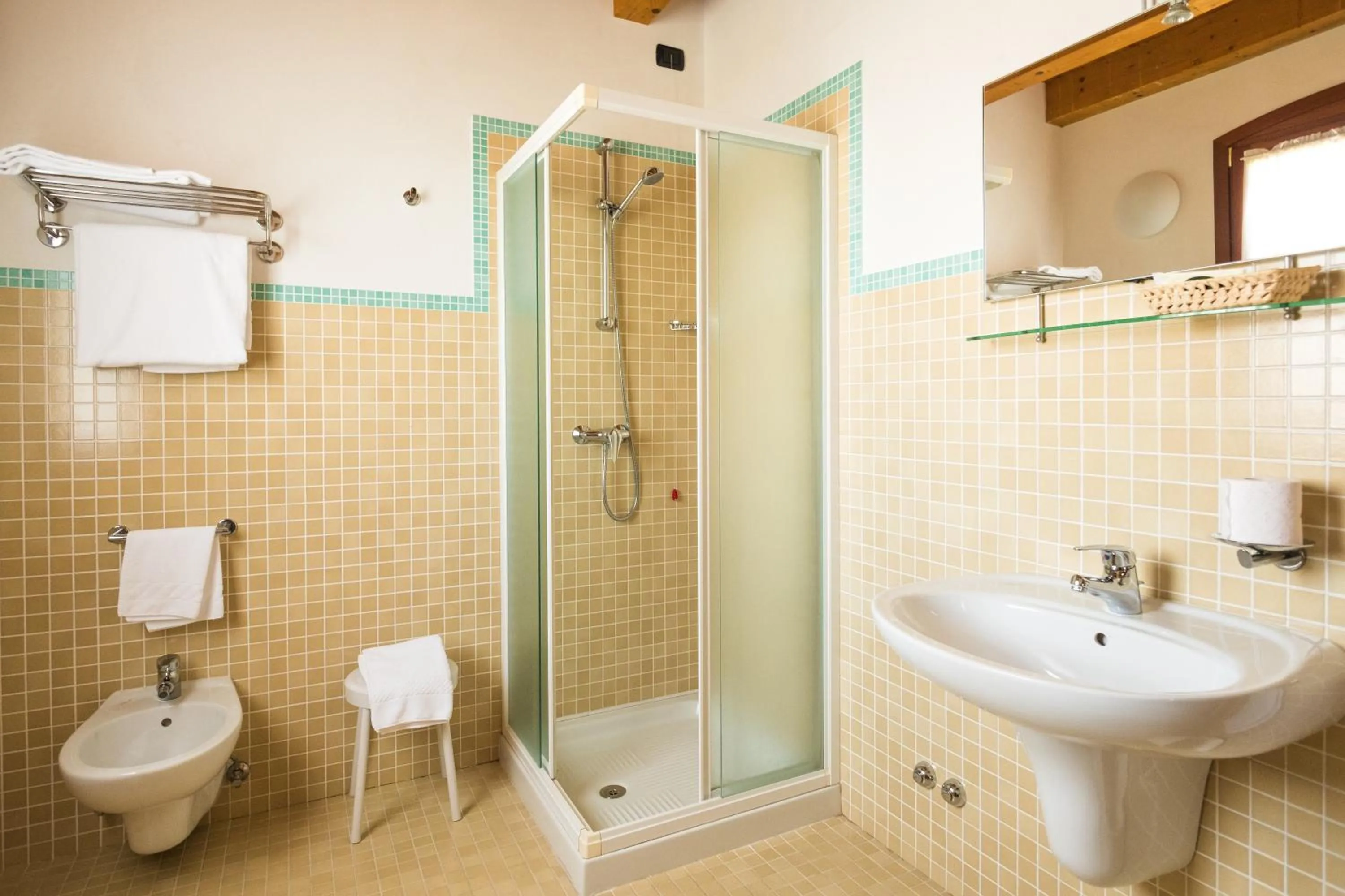 Shower in Hotel Dall'Ongaro