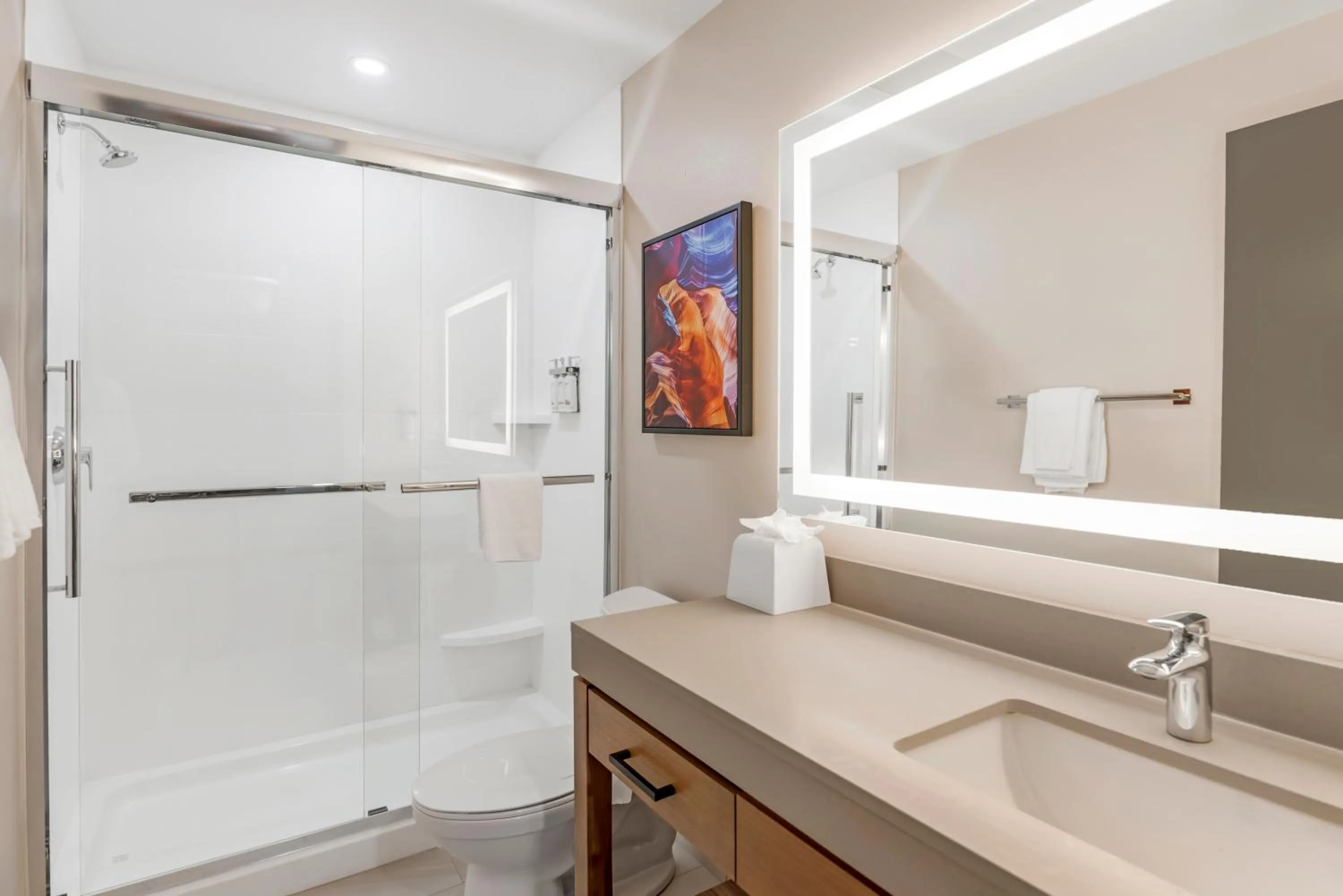 Shower in Candlewood Suites Chester - Richmond by IHG