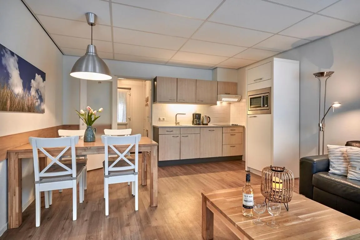 Kitchen or kitchenette in Apartments Four Seasons Zuiderstraat