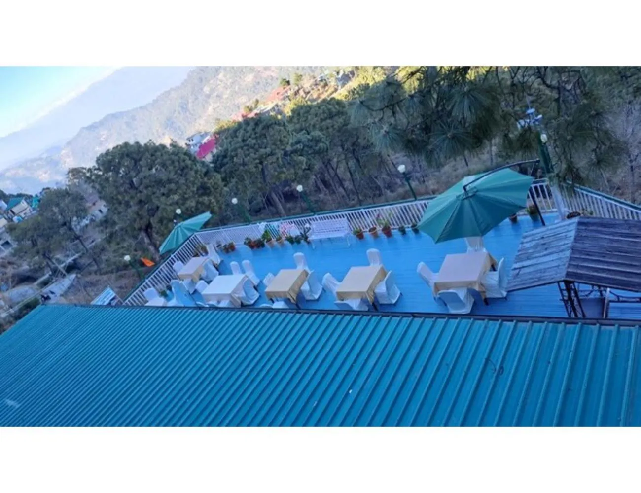 Spring in Hotel Kasauli Exotica, Himachal Pradesh