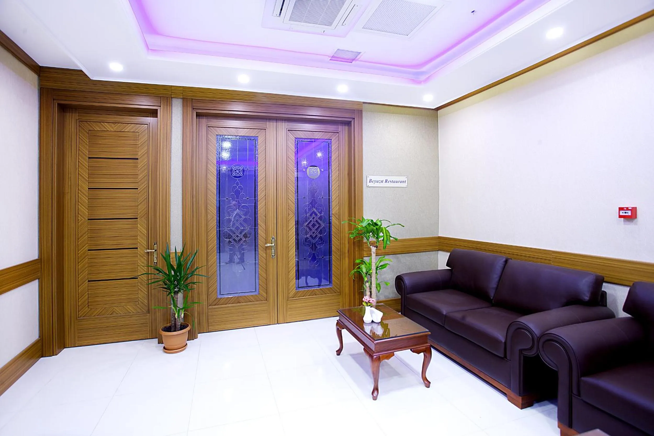 Business facilities in Alpinn Hotel Istanbul