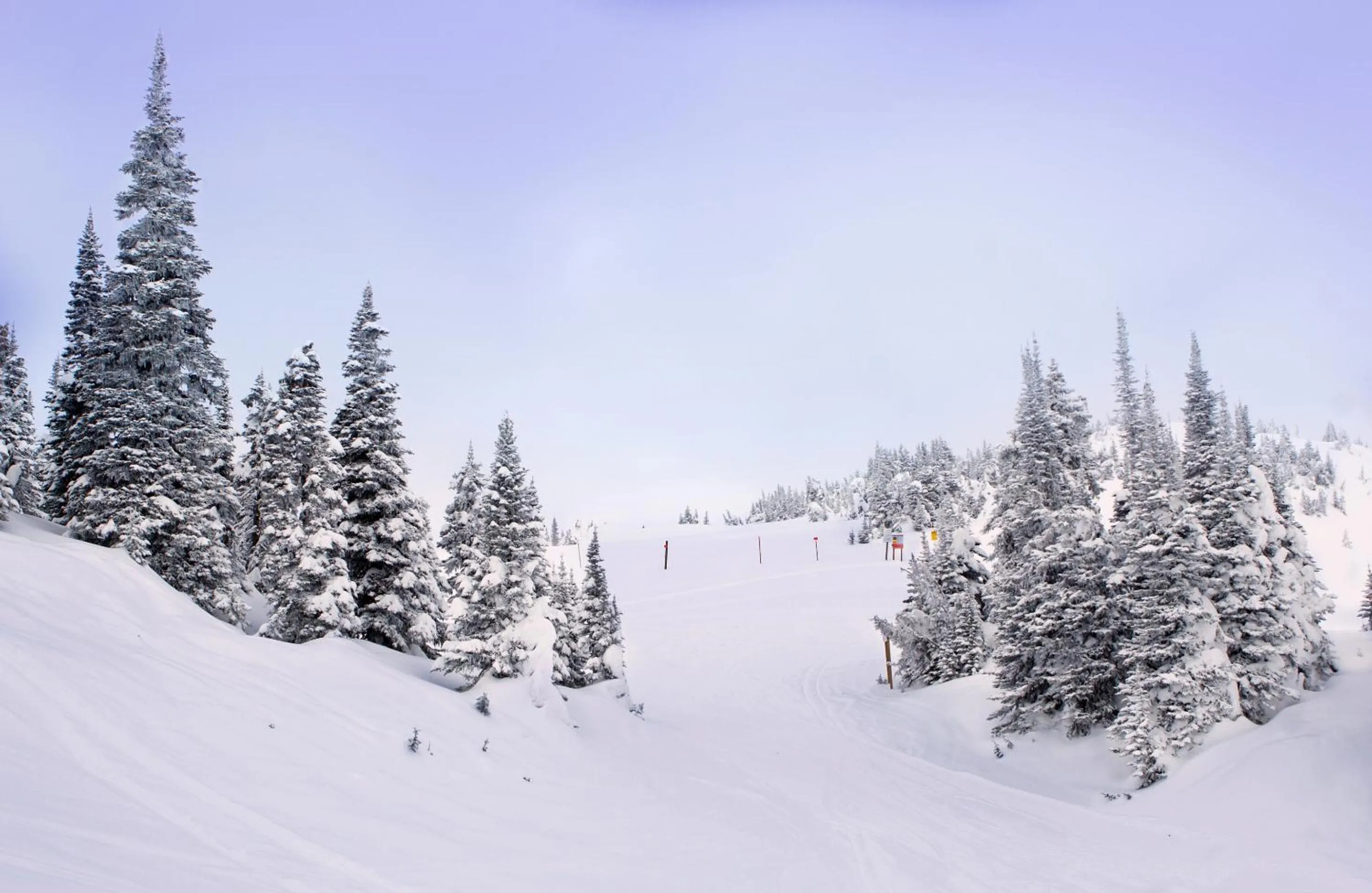 Natural landscape in Hotel Merino