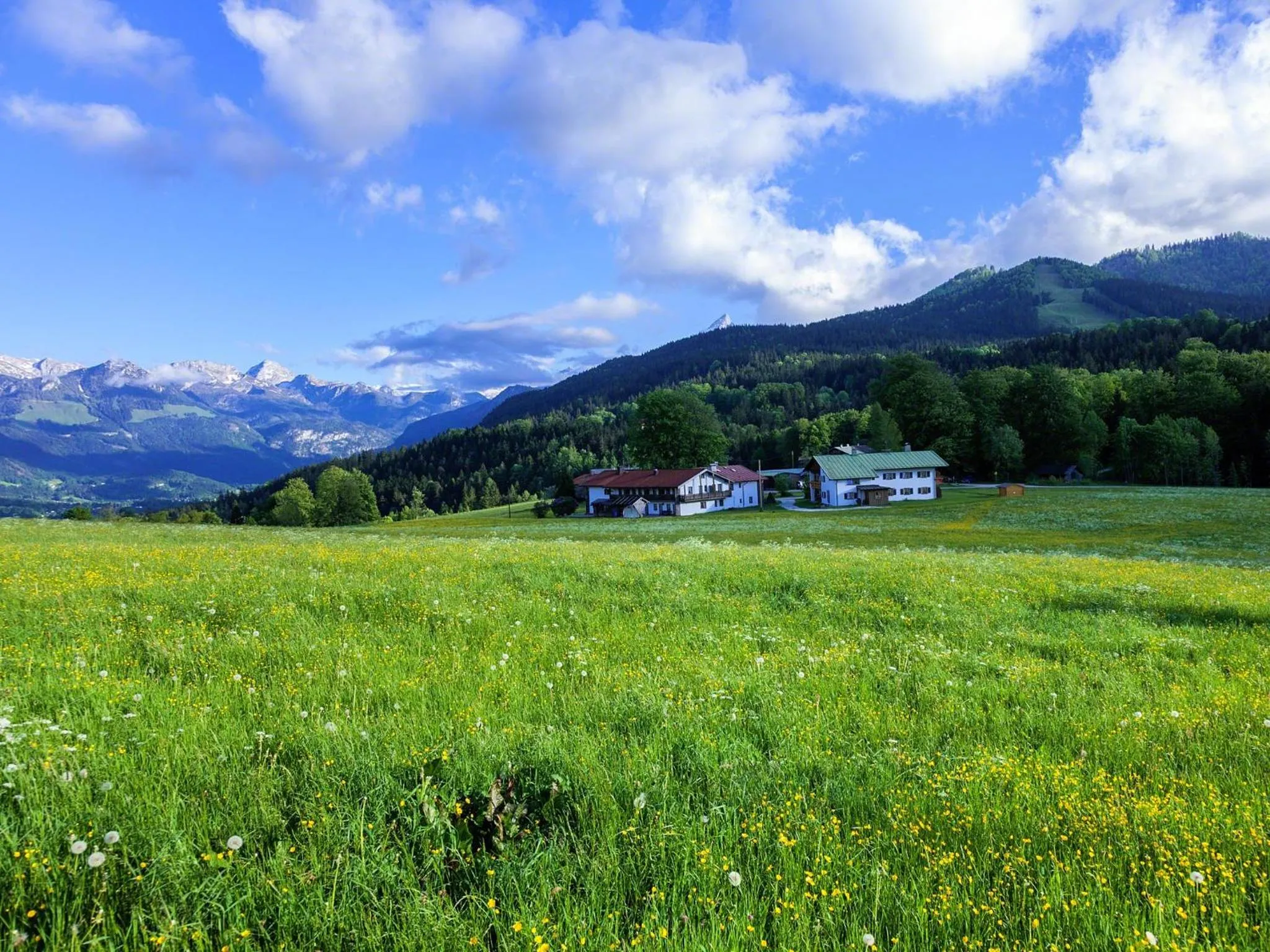 Natural landscape in Pension Loiplstüberl