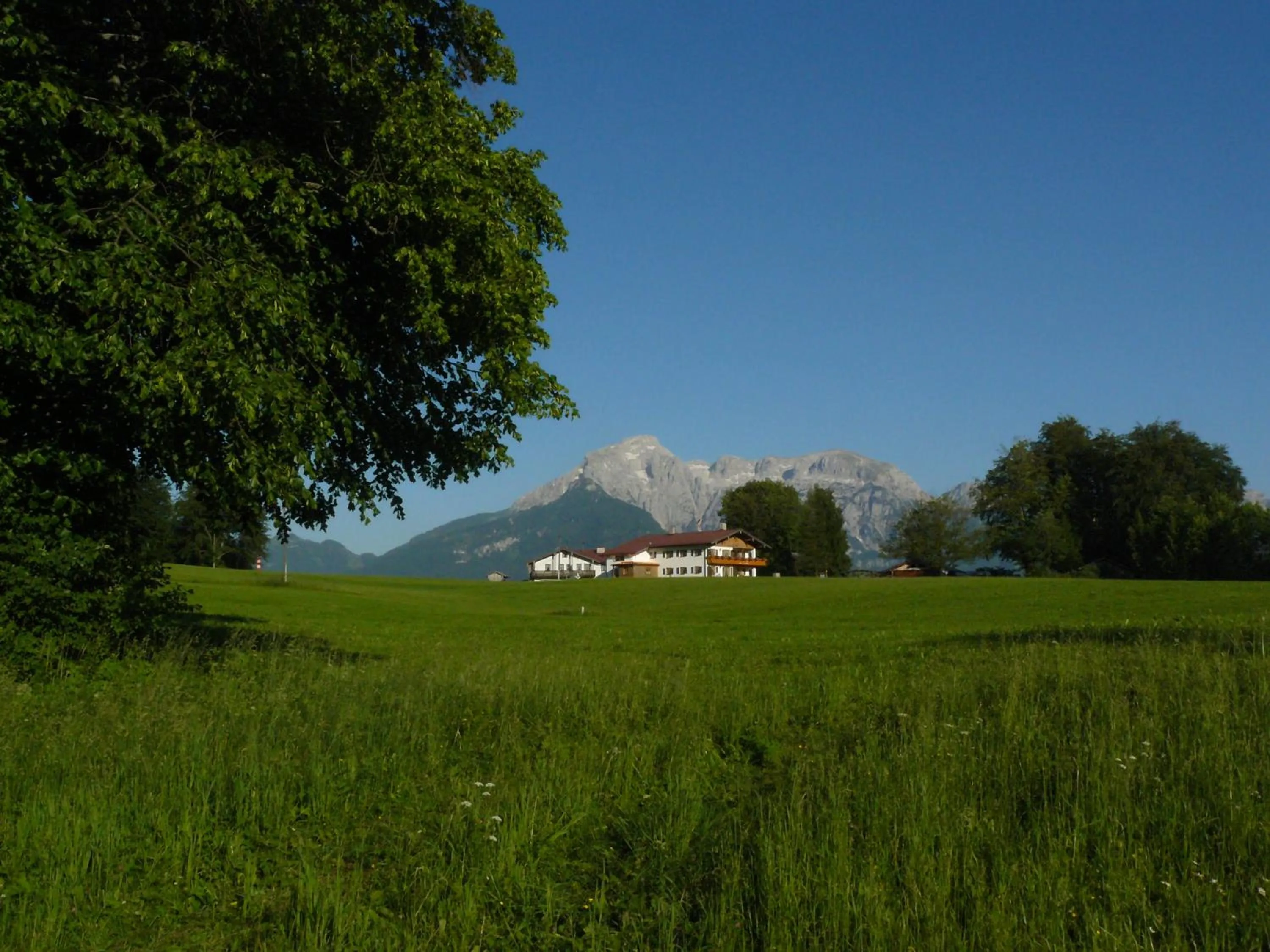 Natural landscape in Pension Loiplstüberl