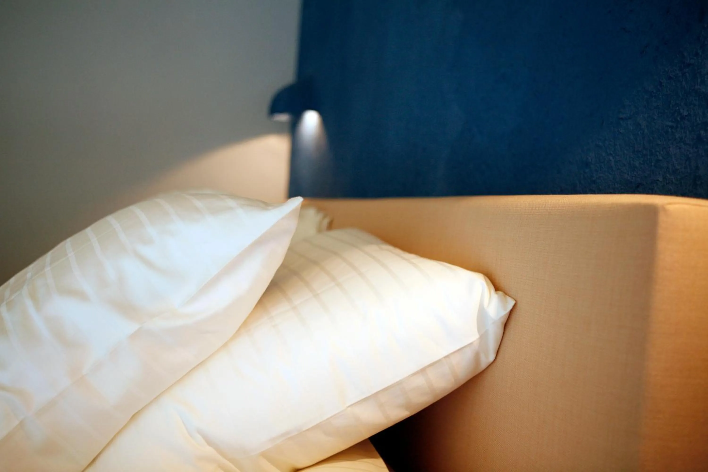 Strohotel Aalshof