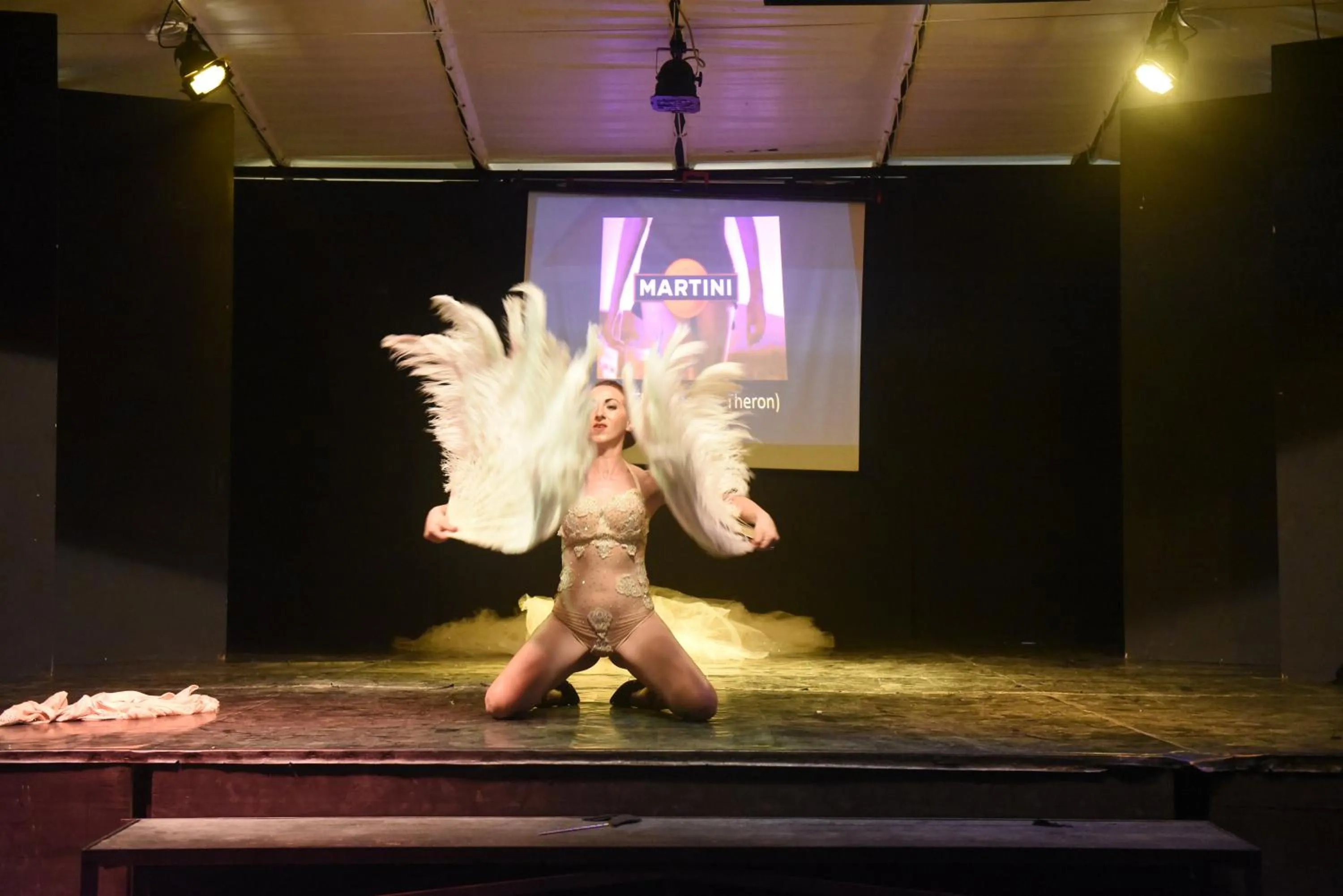 Evening entertainment in Hotel Parco Dei Principi