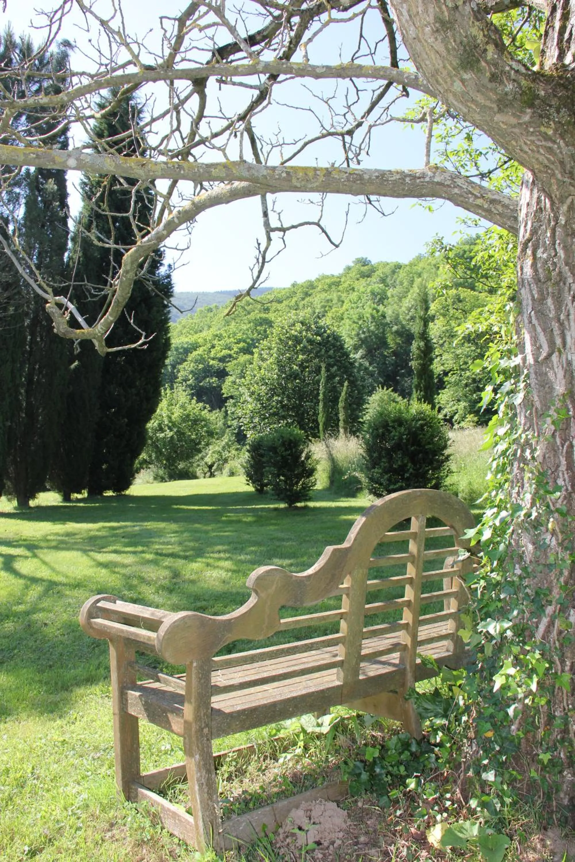 Breakfast in La Hulotte