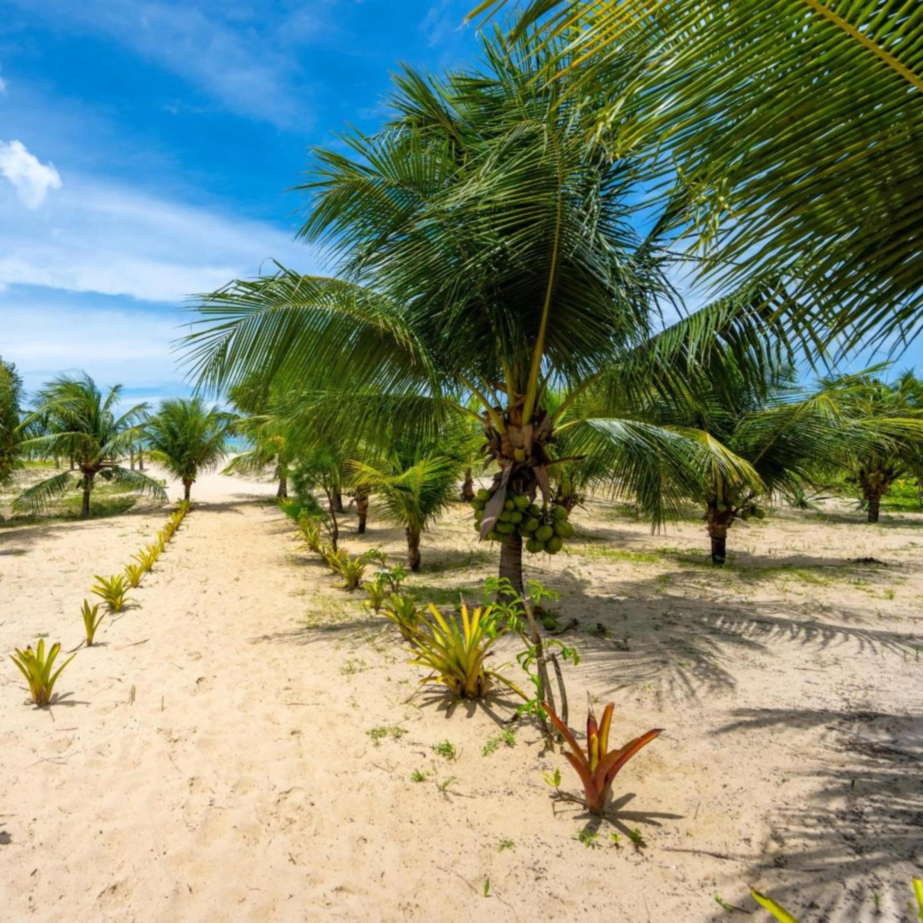 Swimming pool in Hara Pousada e SPA